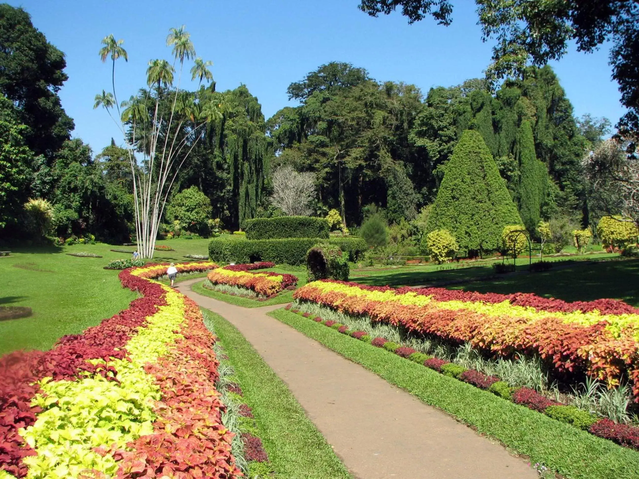 Natural landscape, Garden in Oak Ray Regency