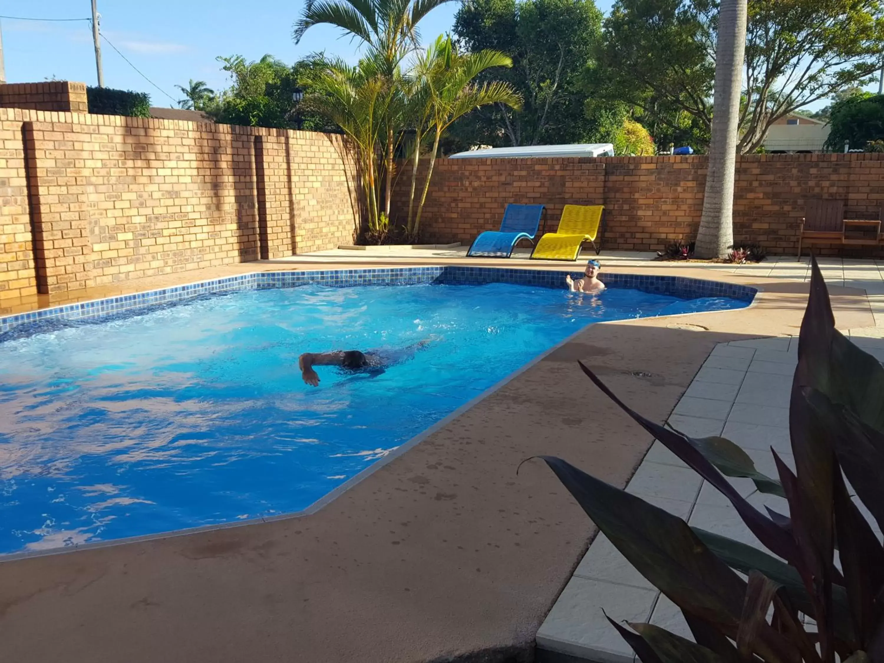 Swimming Pool in Royal Palms Motor Inn