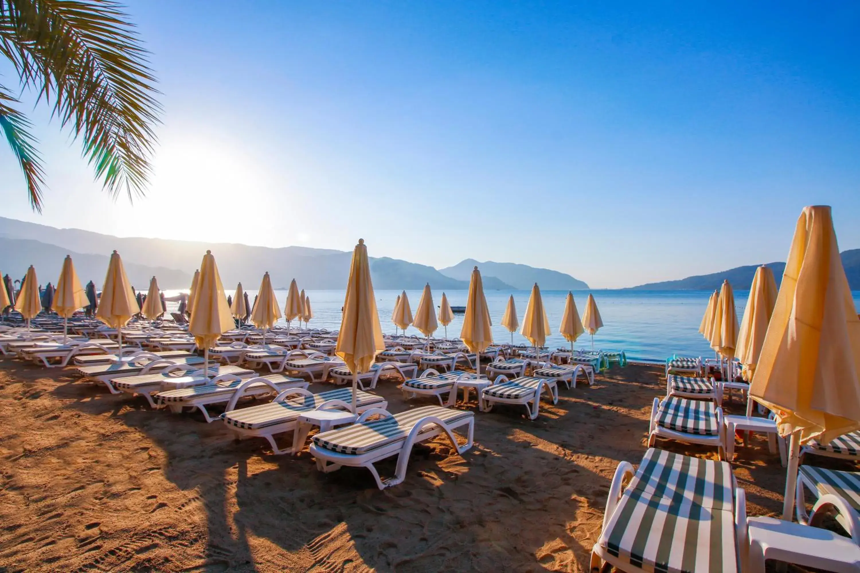 Beach in Aurasia Beach Hotel