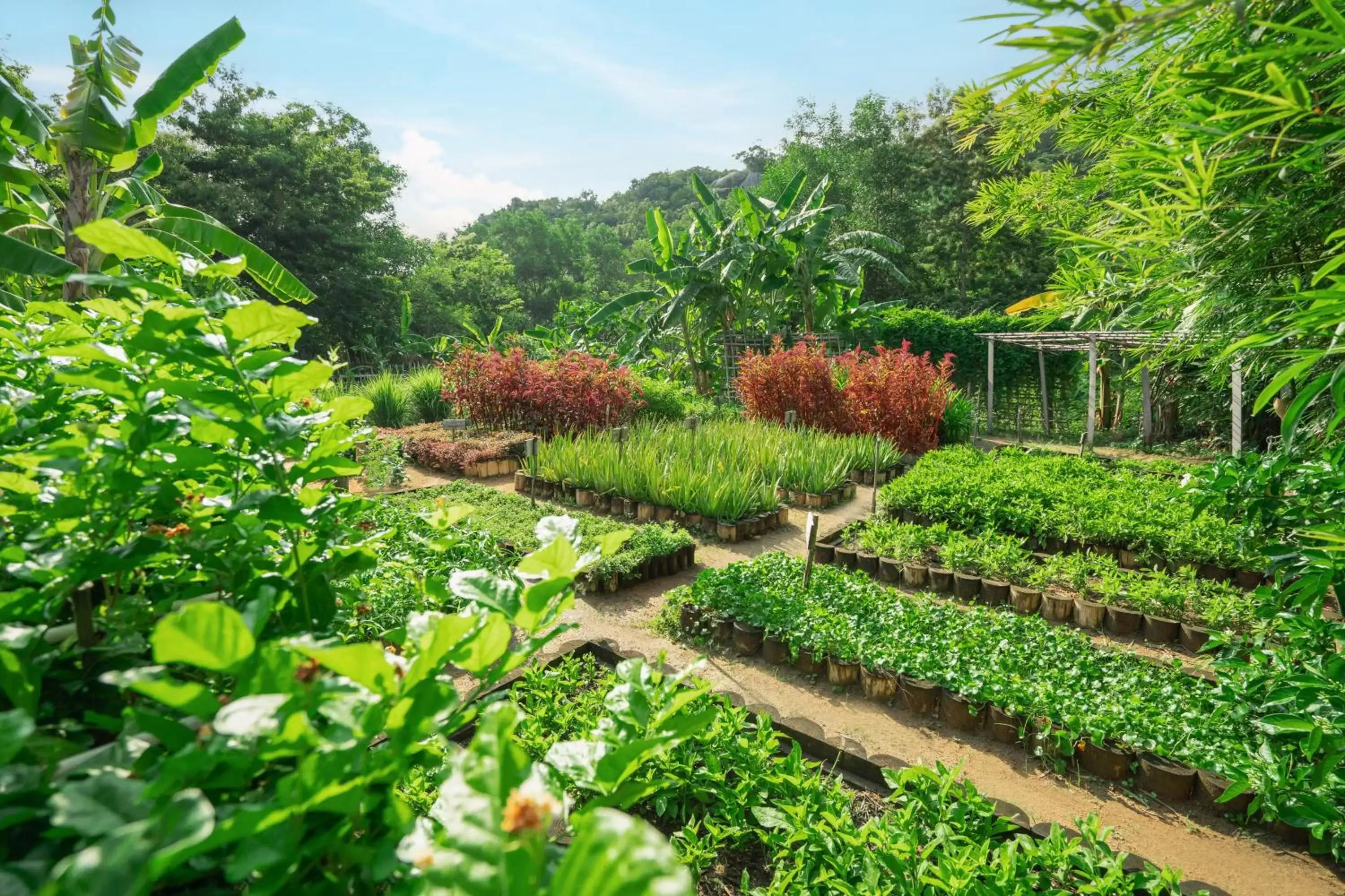 Garden in An Lam Retreats Ninh Van Bay