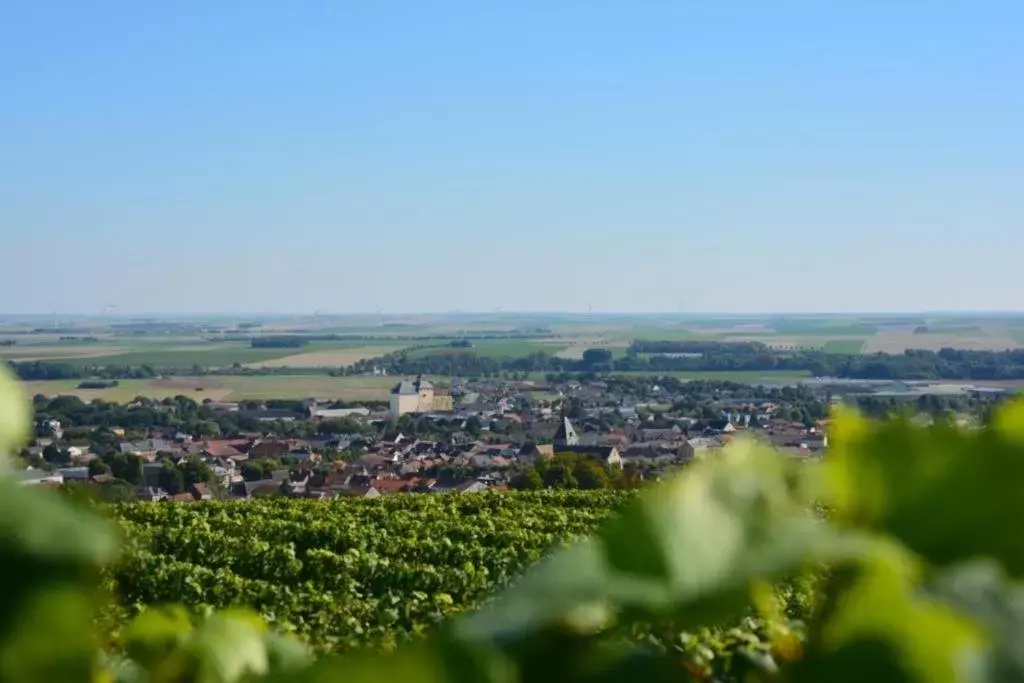 Neighbourhood, Bird's-eye View in Best Western Le Relais du Vigneron