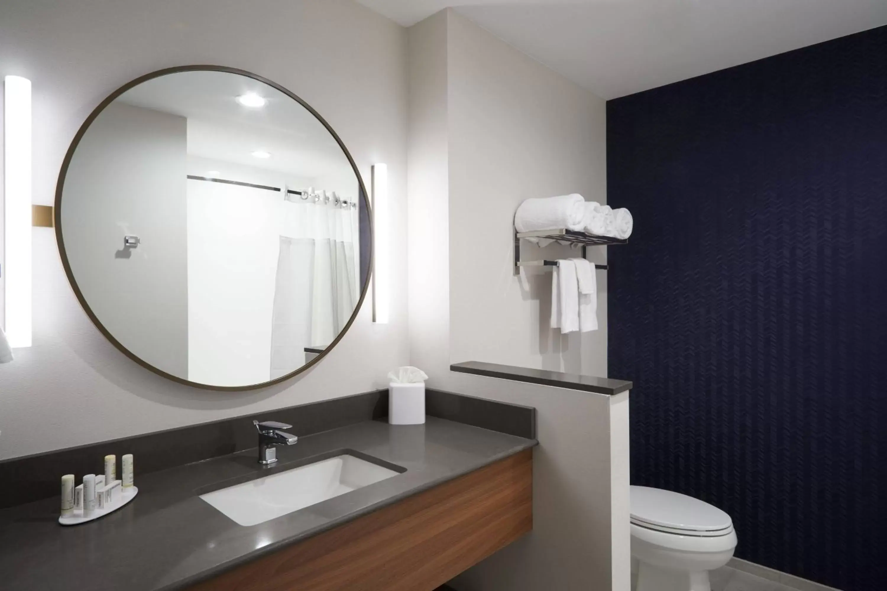 Bathroom in Fairfield Inn & Suites by Marriott Riverside Moreno Valley