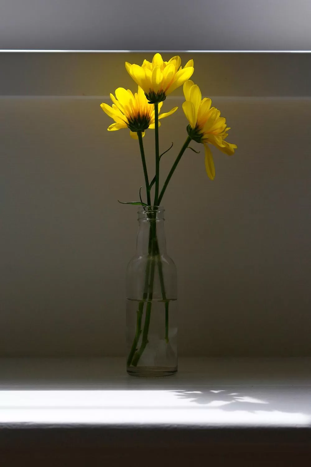 Decorative detail in Leworthy Farmhouse Bed and Breakfast