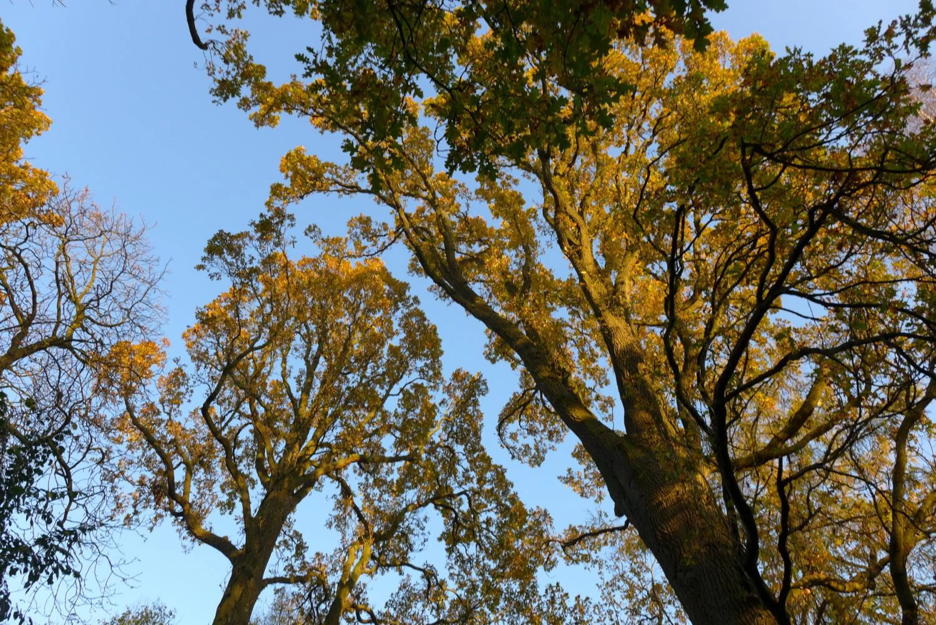 Natural landscape in Hotel Heidpark