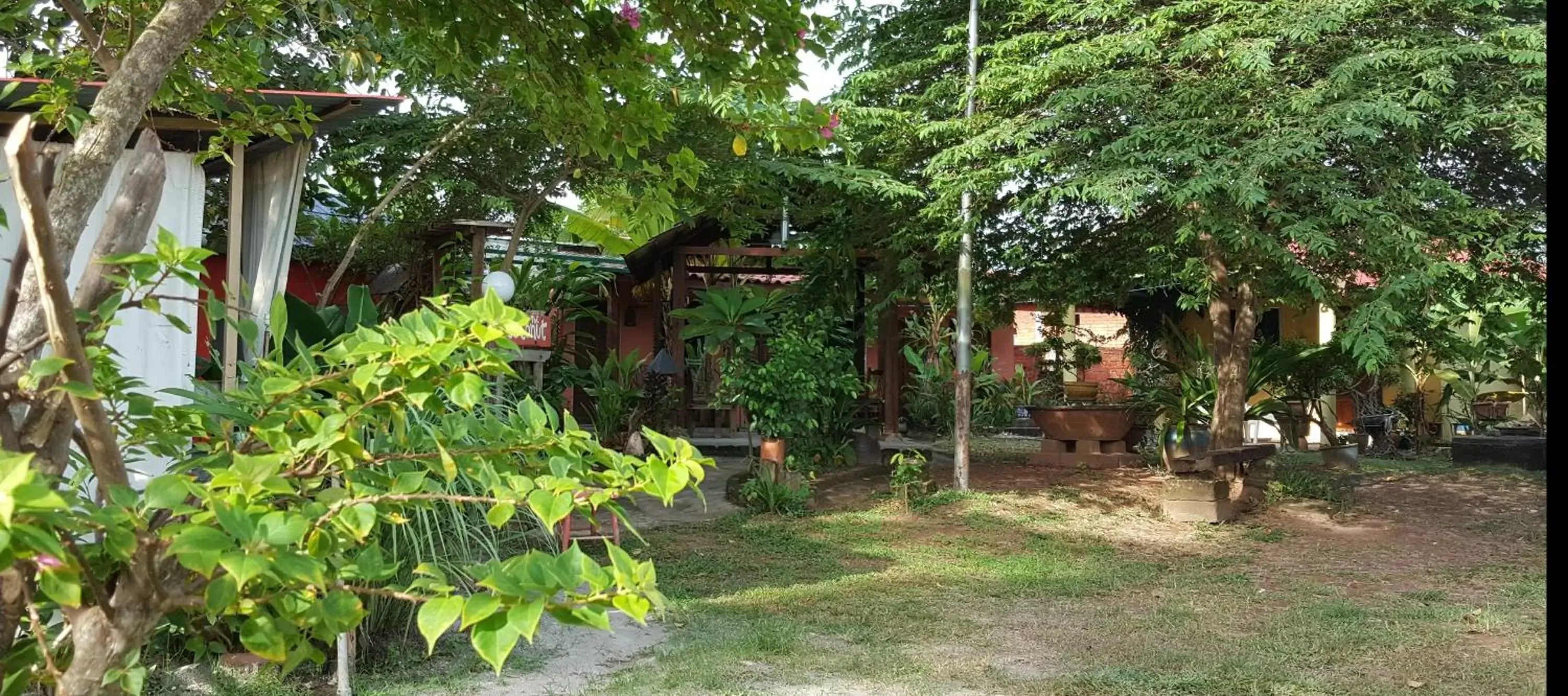 Garden in the coconut langkawi