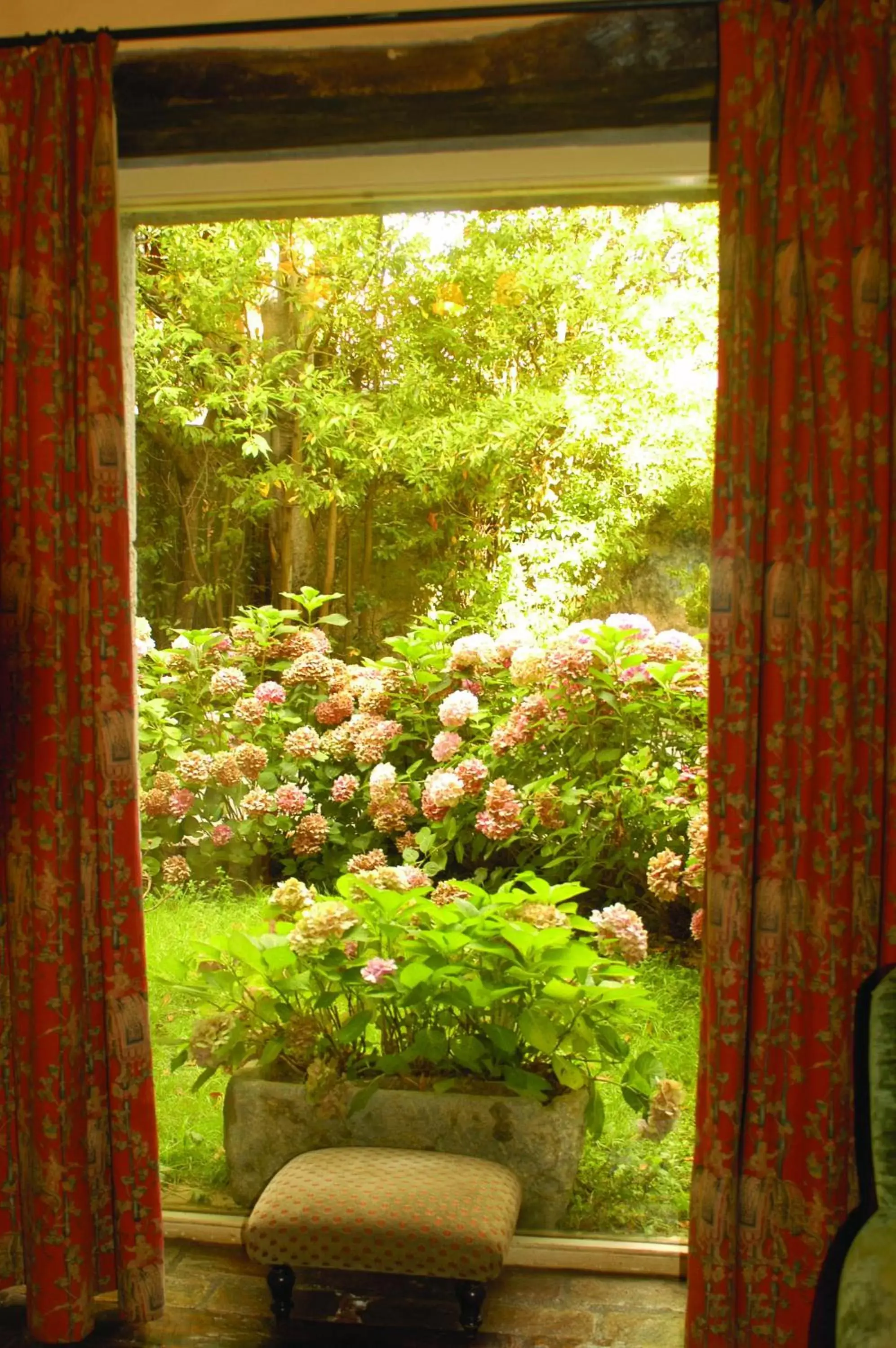 Garden, Garden View in Hotel Zubieta