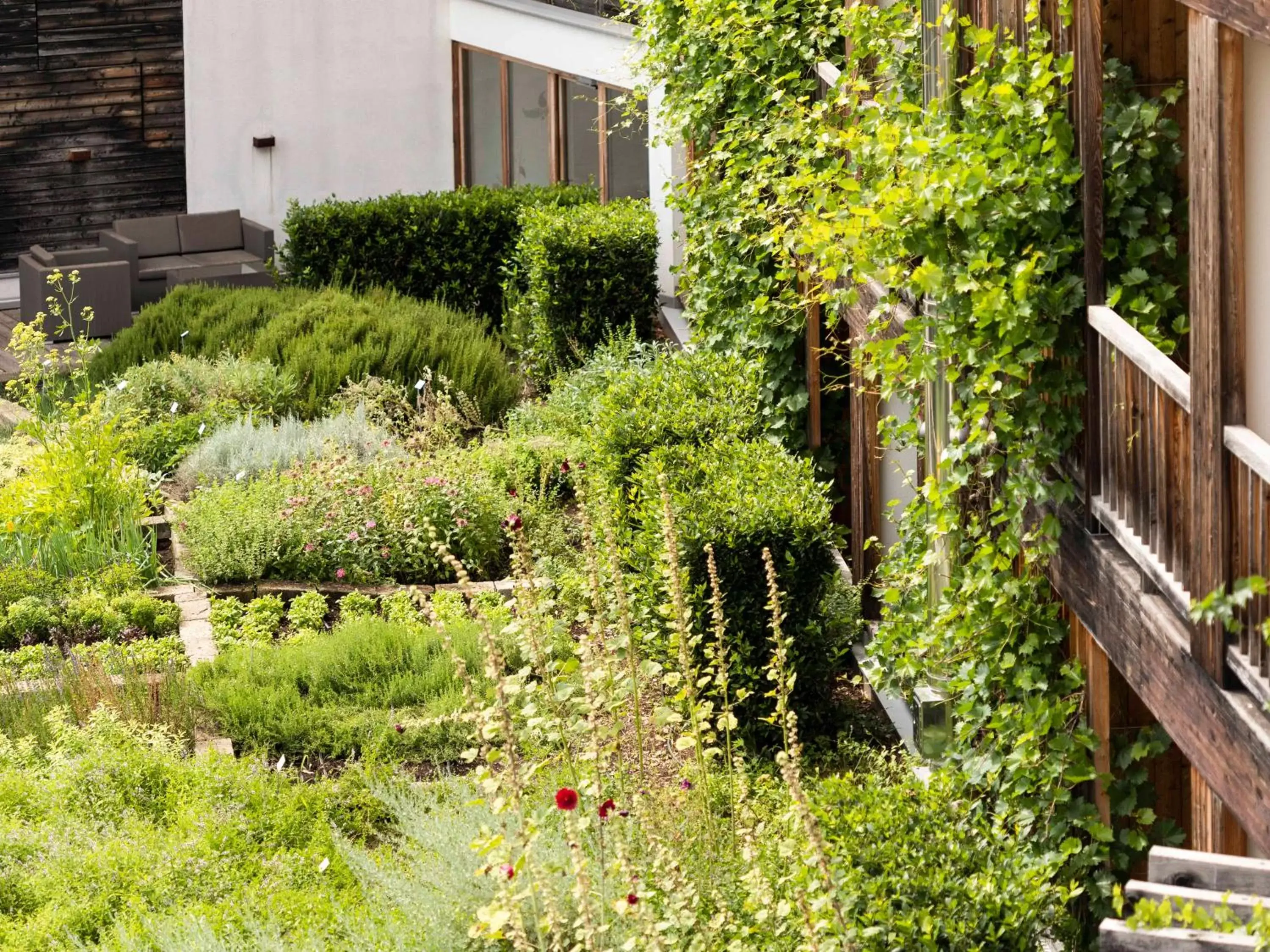 Garden in Das Biorefugium Theiner’s Garten