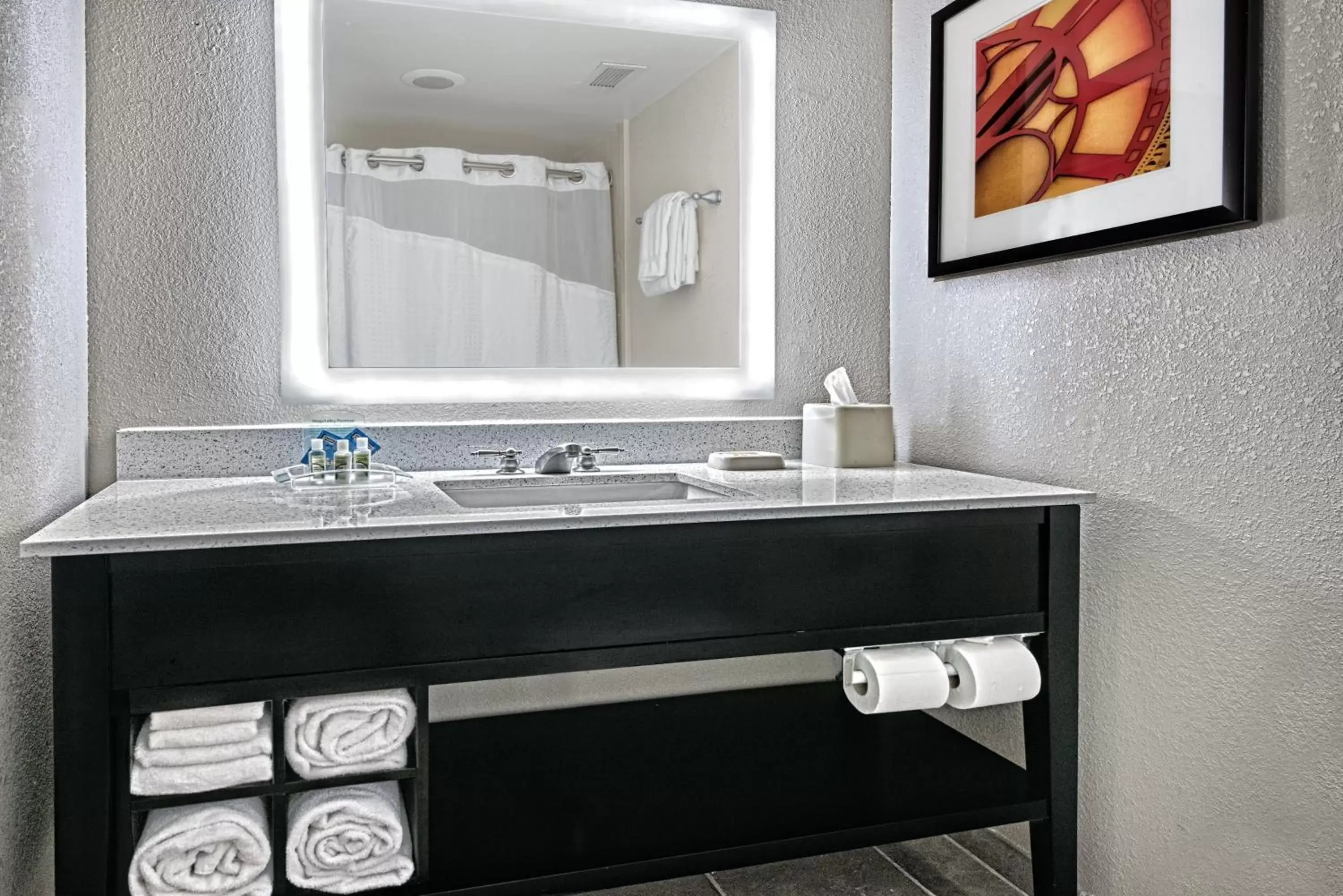 Bathroom in Holiday Inn & Suites College Station-Aggieland, an IHG Hotel