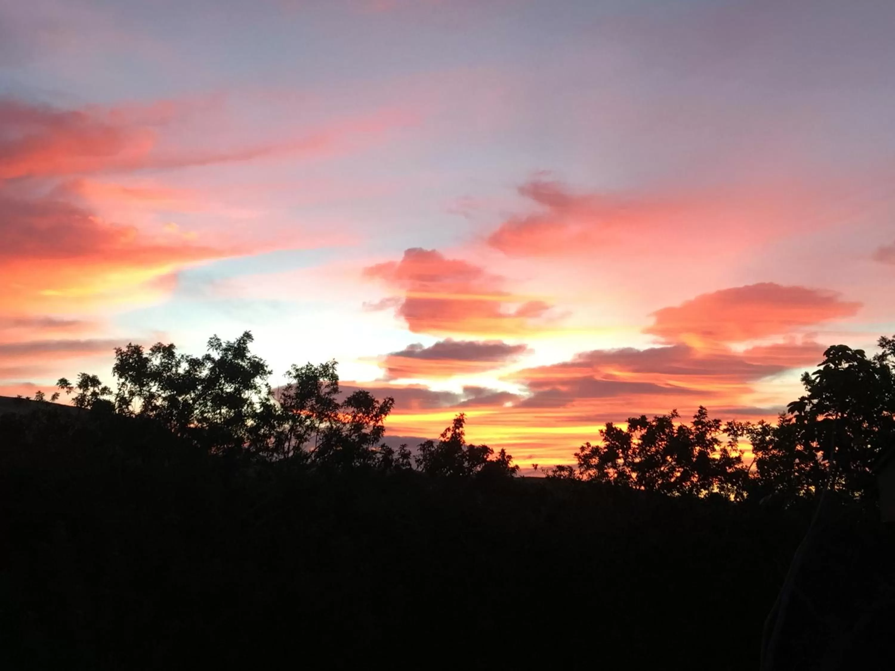 View (from property/room) in Hawaii Island Resort