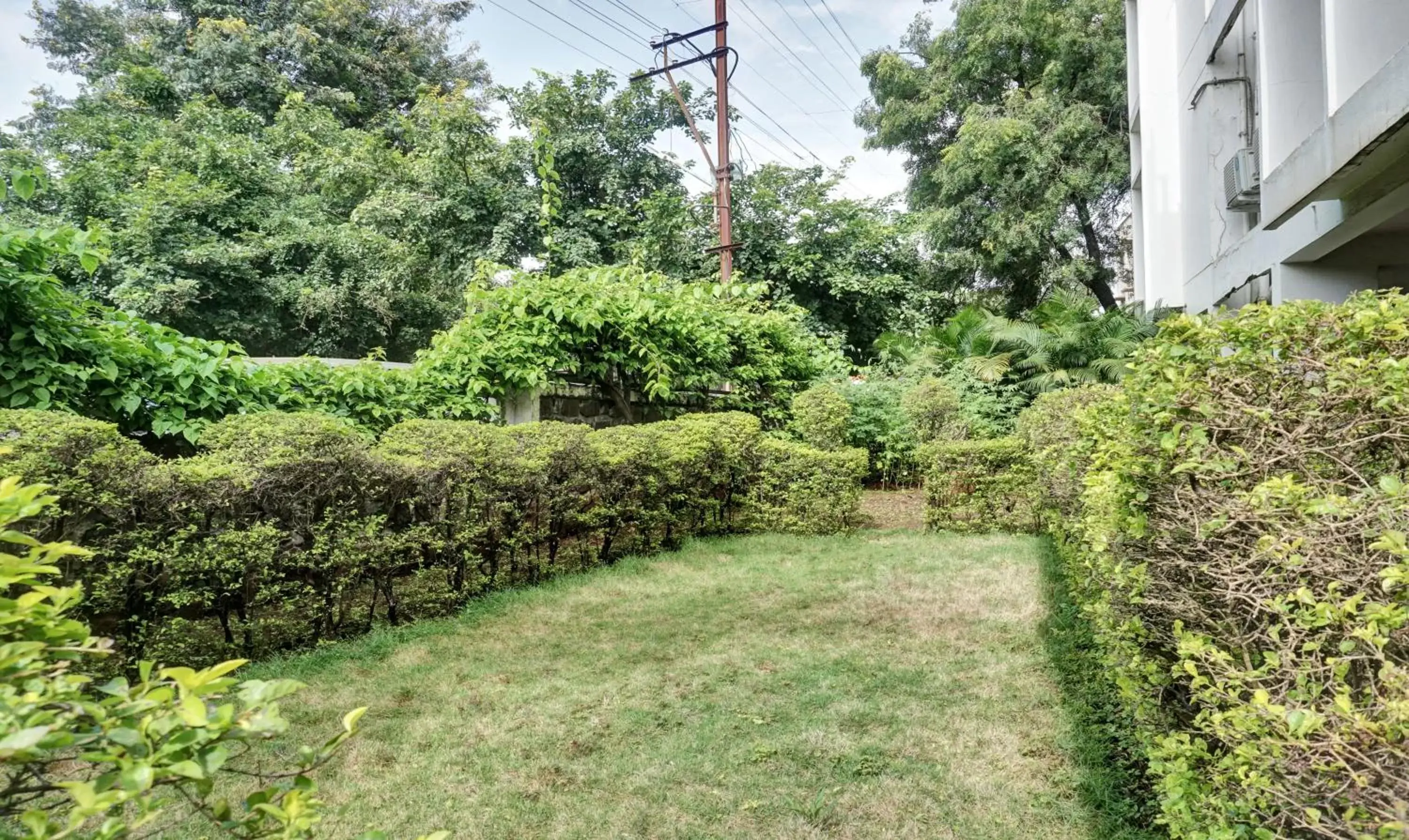 Garden view in Itsy Hotels Ranjeet Garden view in Itsy Hotels Ranjeet