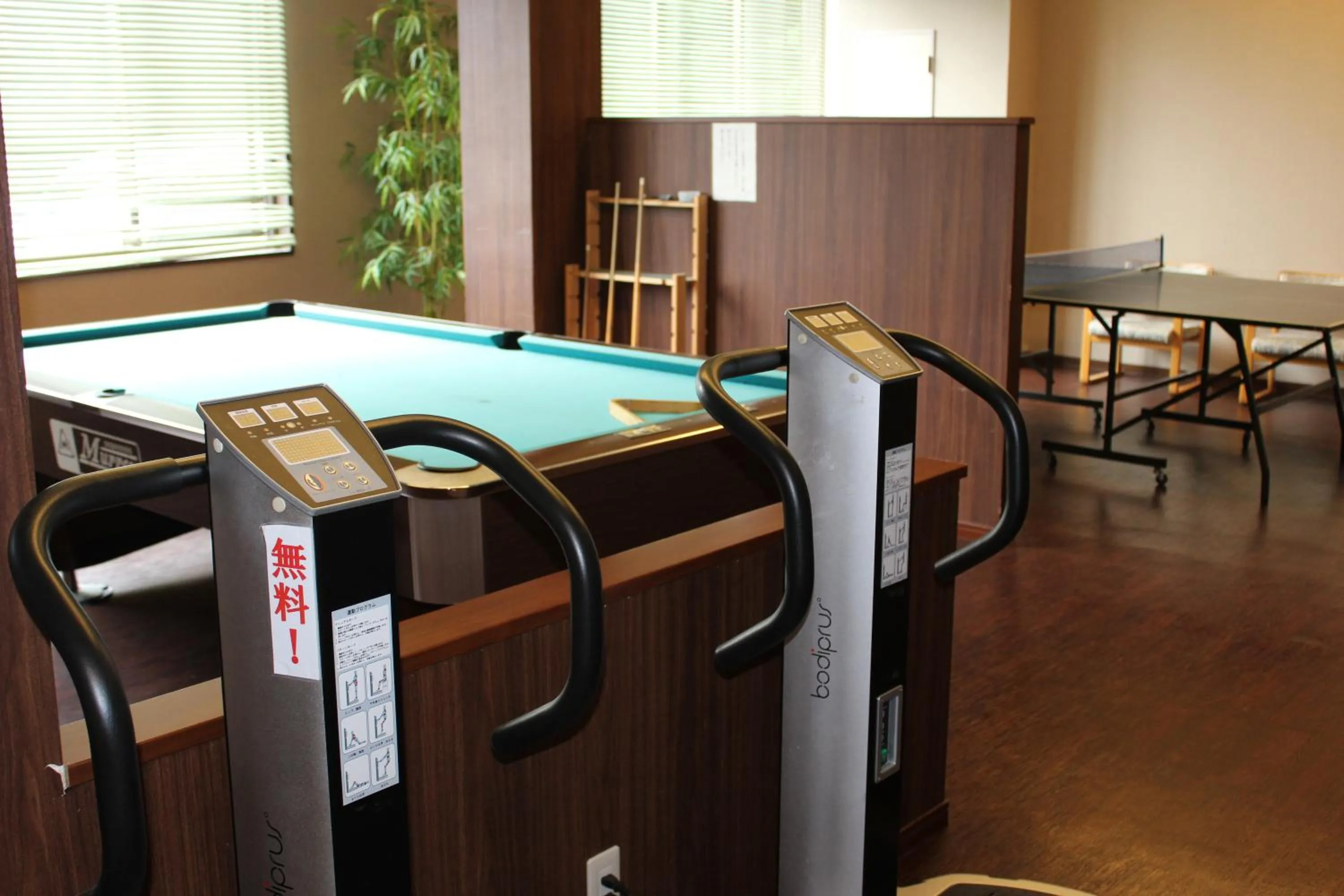 Billiard in Ogoto Onsen Yunoyado Komolebi