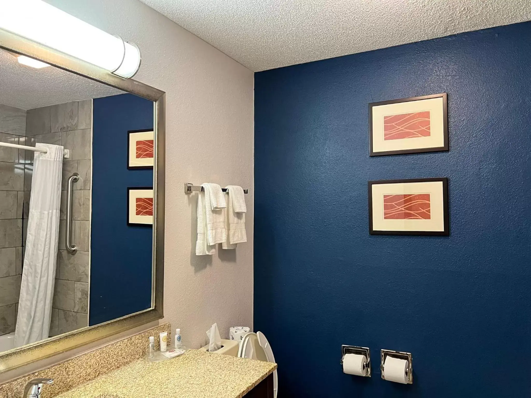 Bathroom in Comfort Suites Louisville East