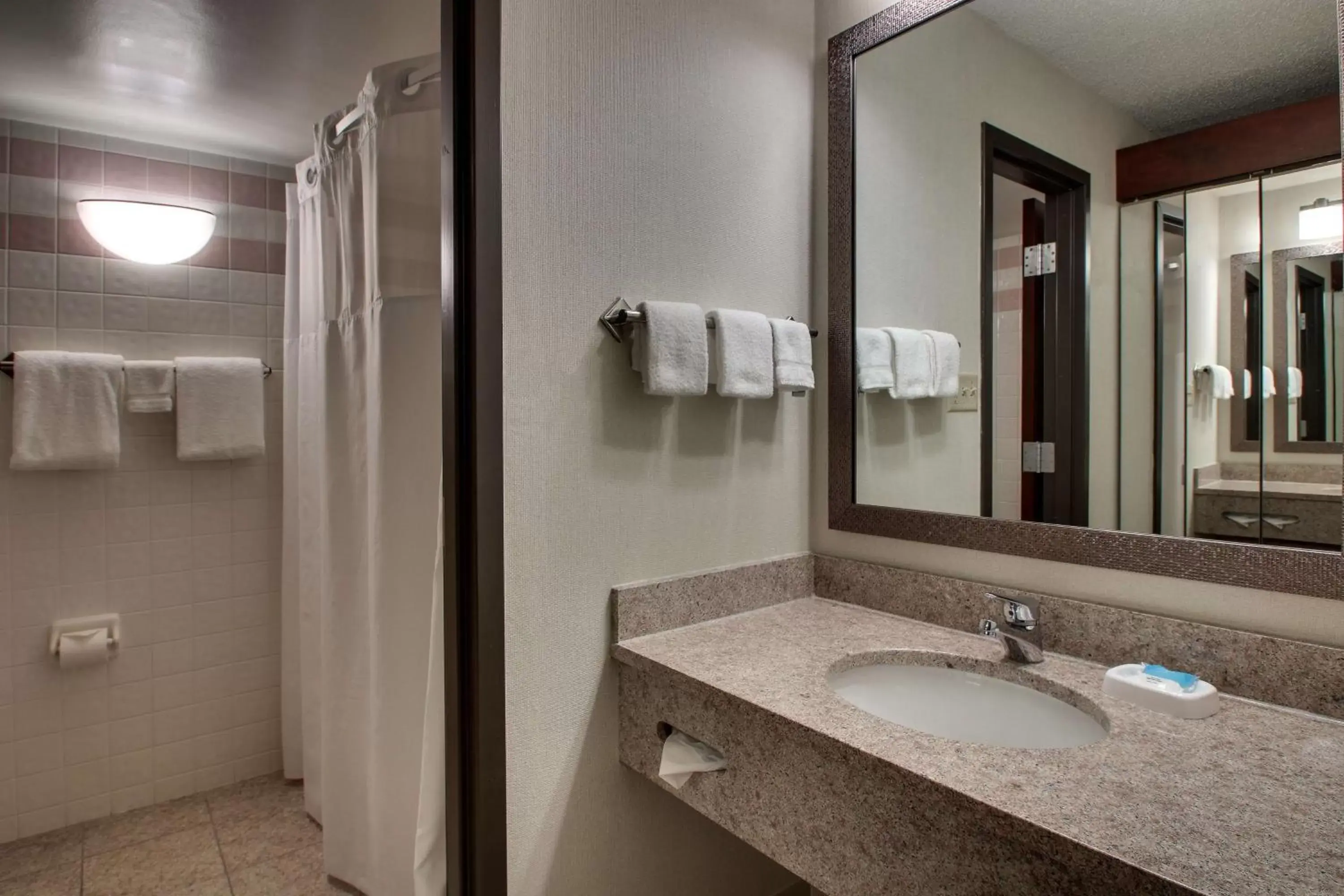 Bathroom in Drury Inn & Suites Evansville East