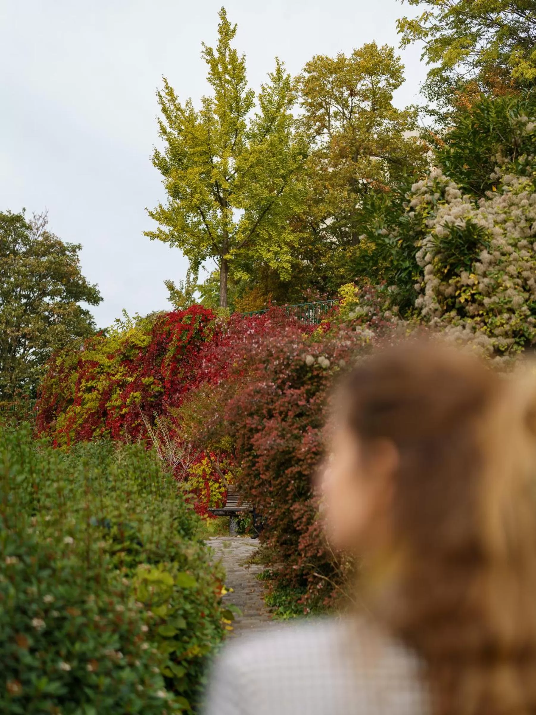 Neighbourhood in Hotel Scarlett