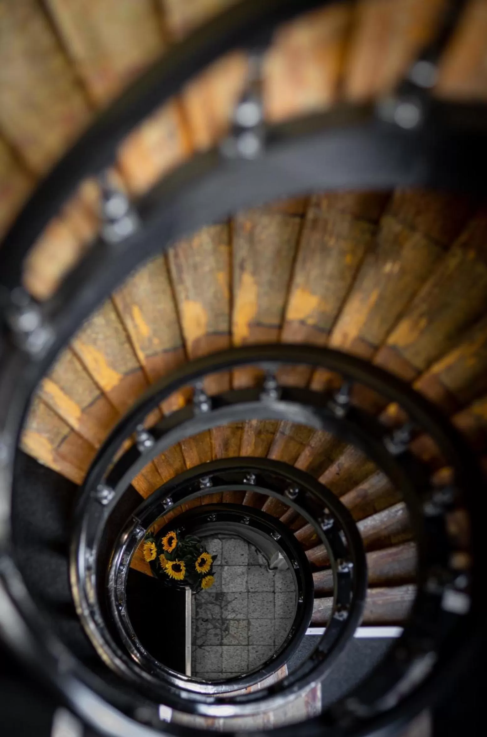 Decorative detail in Hotel1875