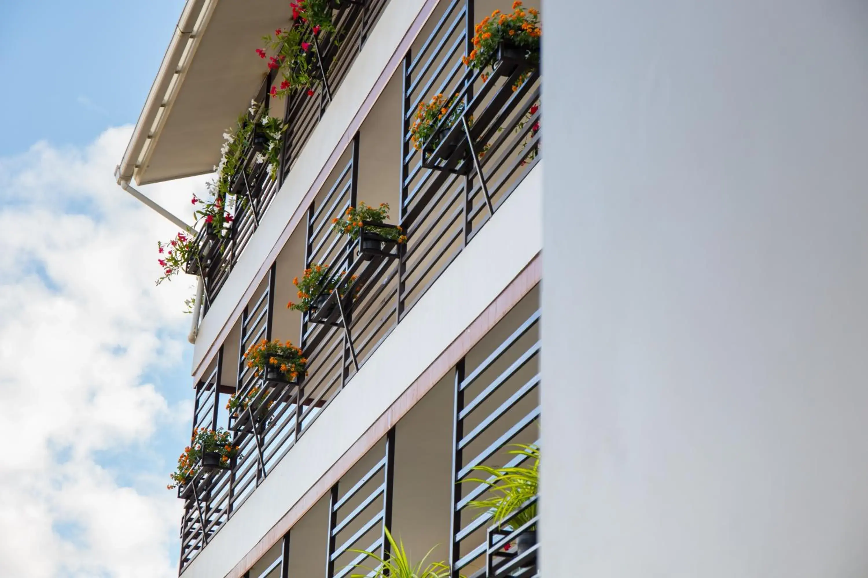 Pool view in Chiang Mai Waroros Boutique Hotel Pool view in Chiang Mai Waroros Boutique Hotel