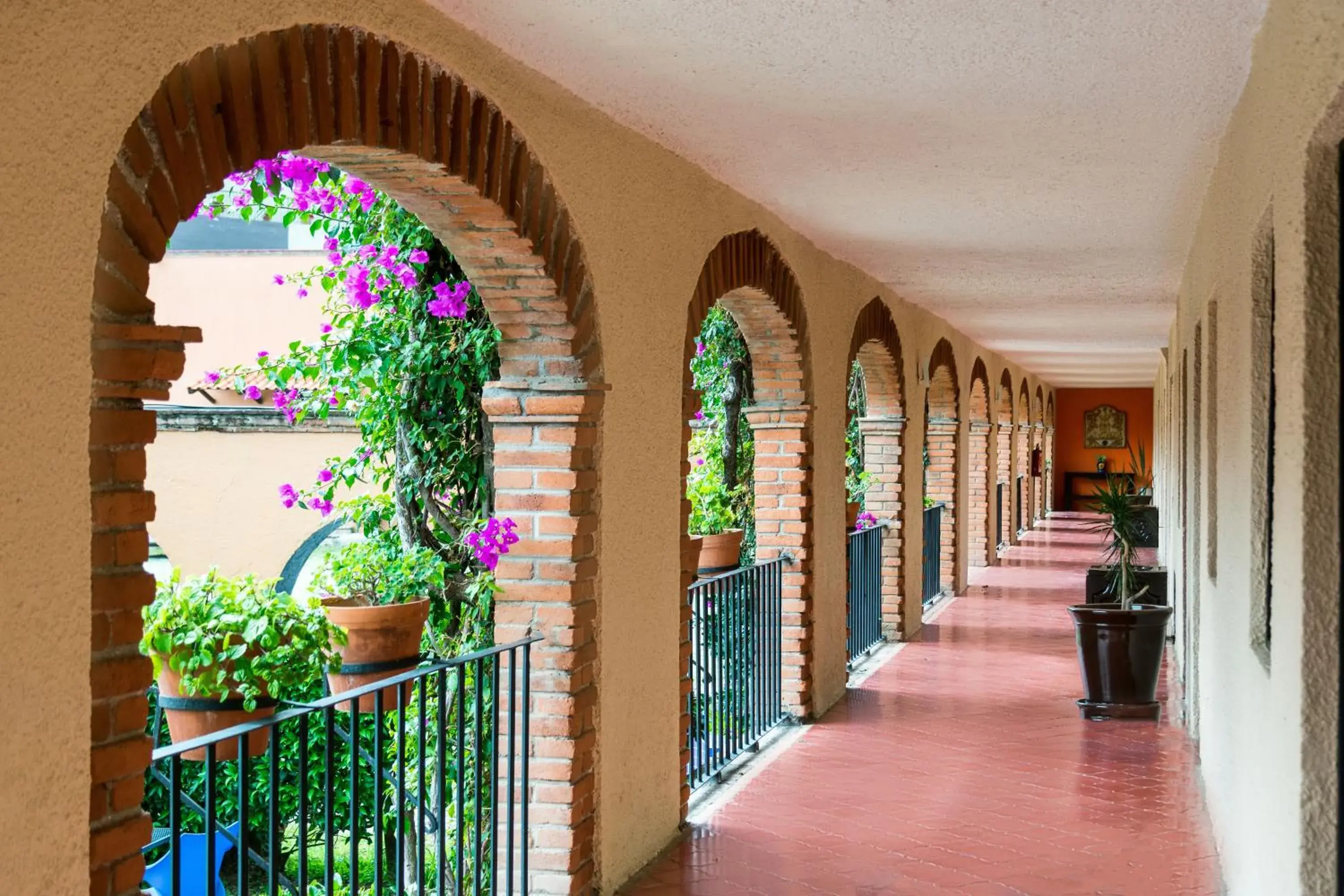 Garden view in Hotel Abadia Plaza