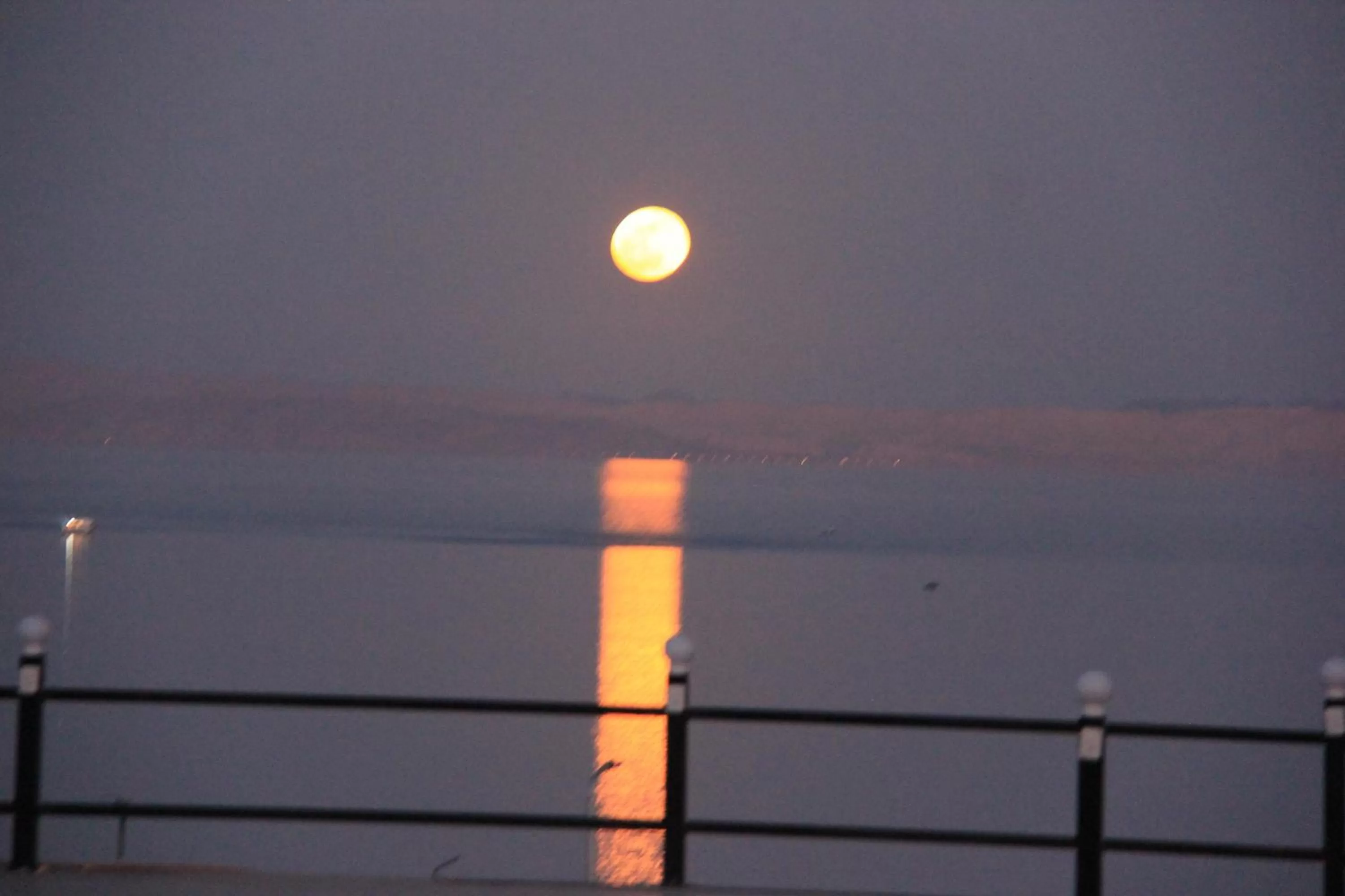 Sea view in Seaview Panorama Boatel