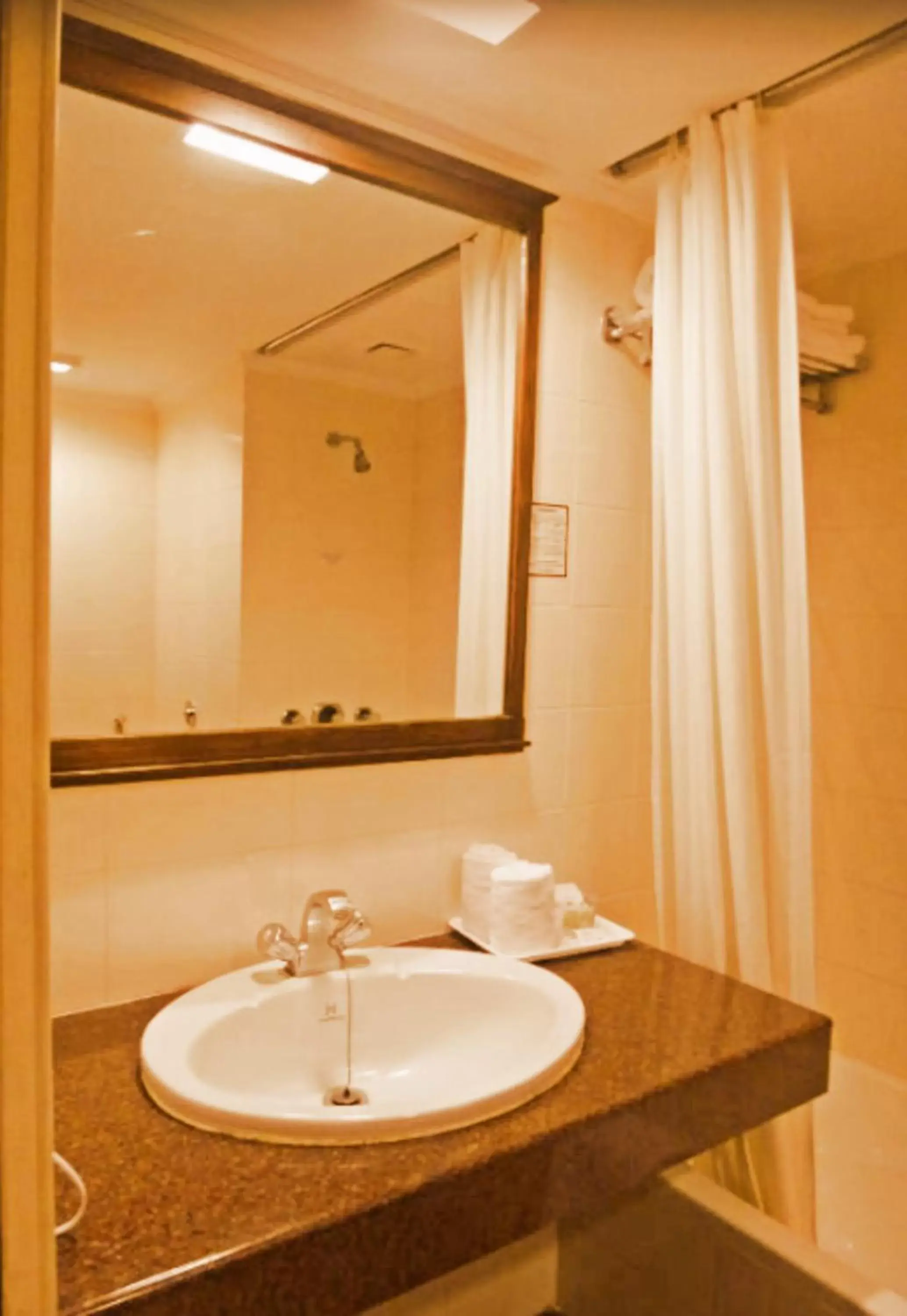 Bathroom in Clarks Khajuraho