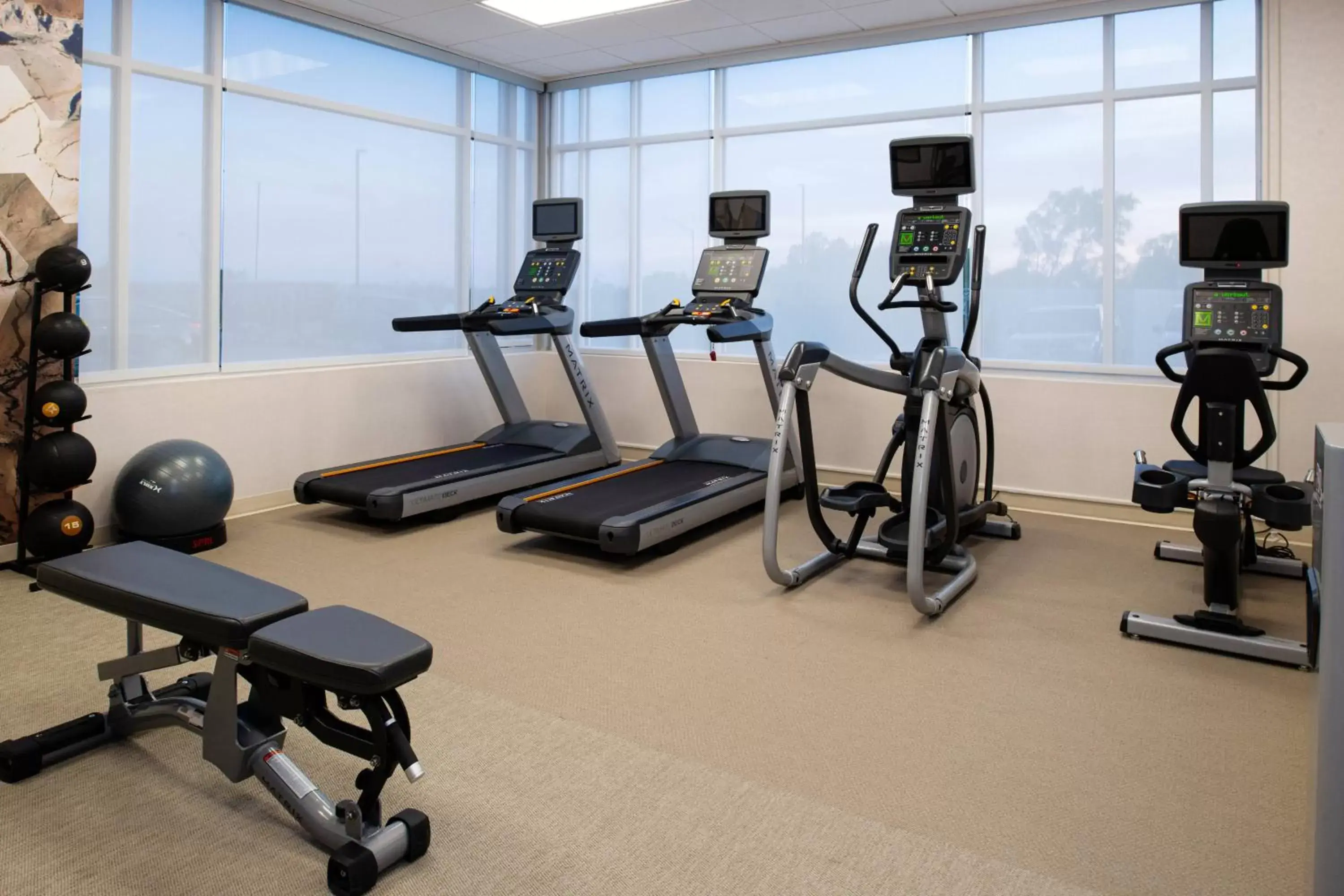 Fitness centre/facilities, Fitness Center/Facilities in SpringHill Suites by Marriott Kansas City Northeast