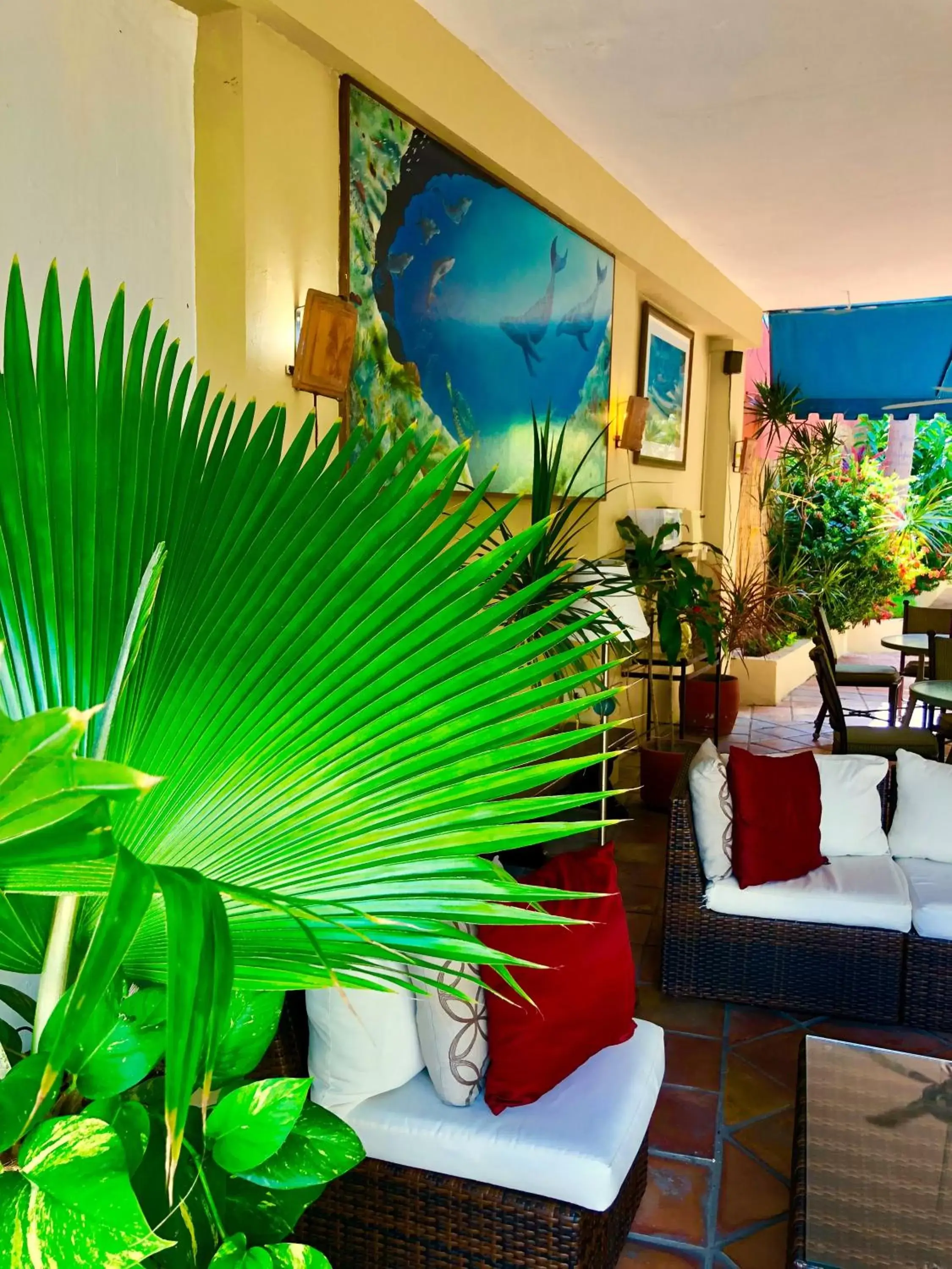 Patio in Casa del Caribe Inn