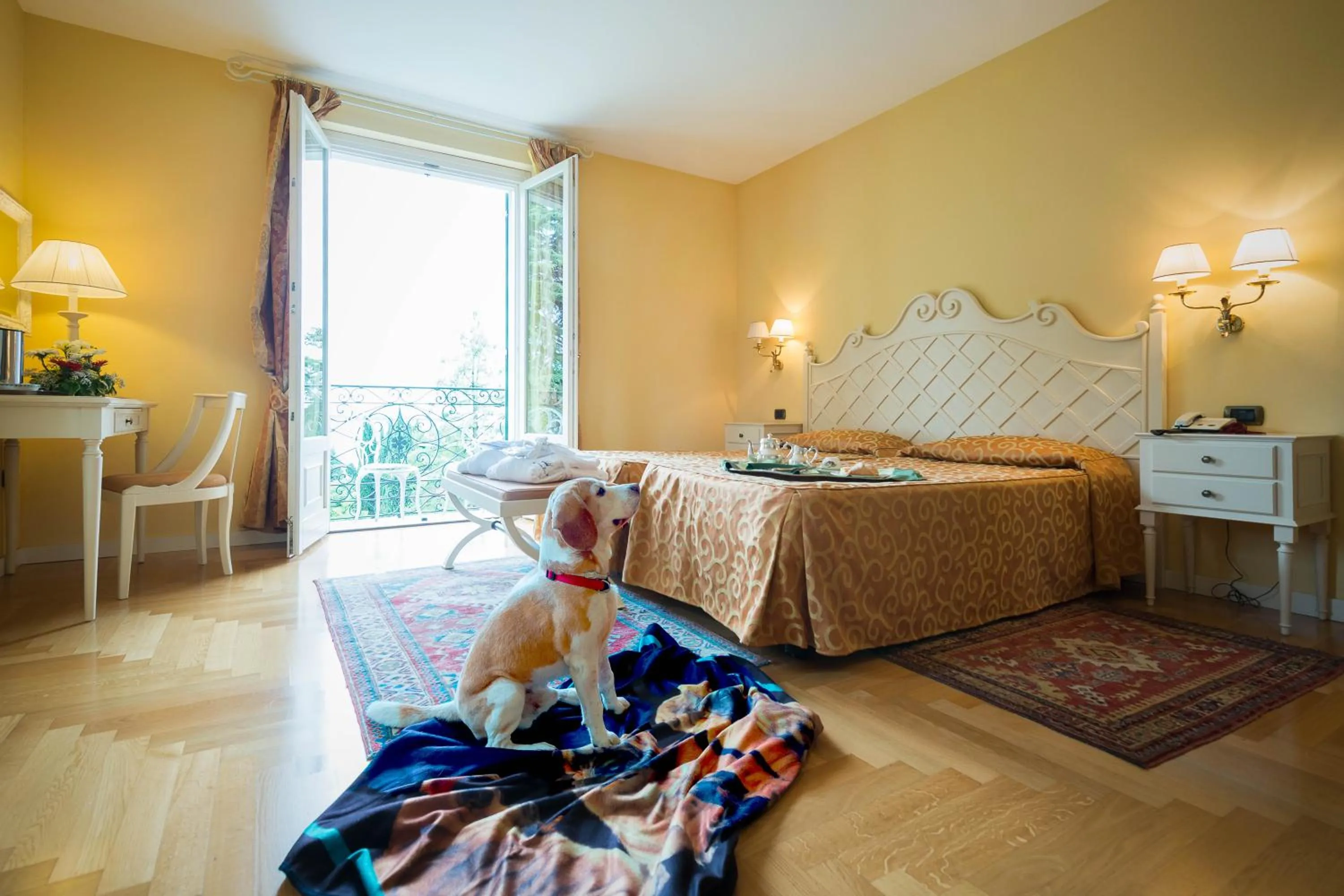 Photo of the whole room, Bed in Villa Sofia Hotel