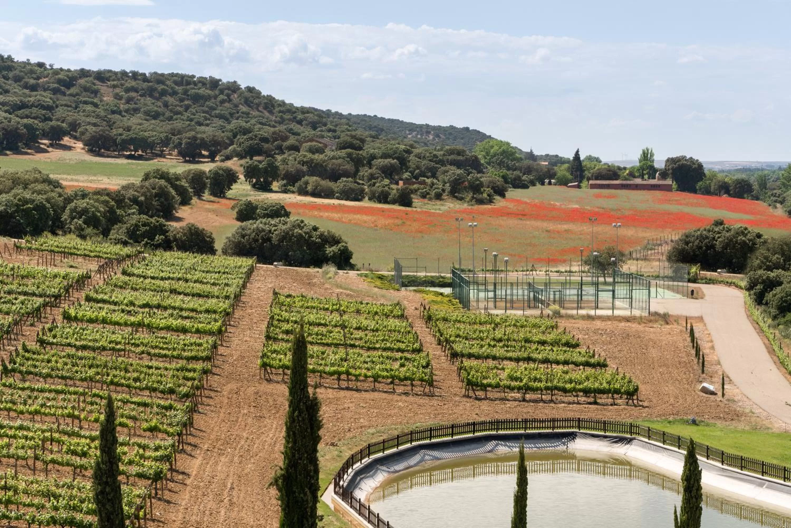 View (from property/room) in Valbusenda Hotel Bodega & Spa