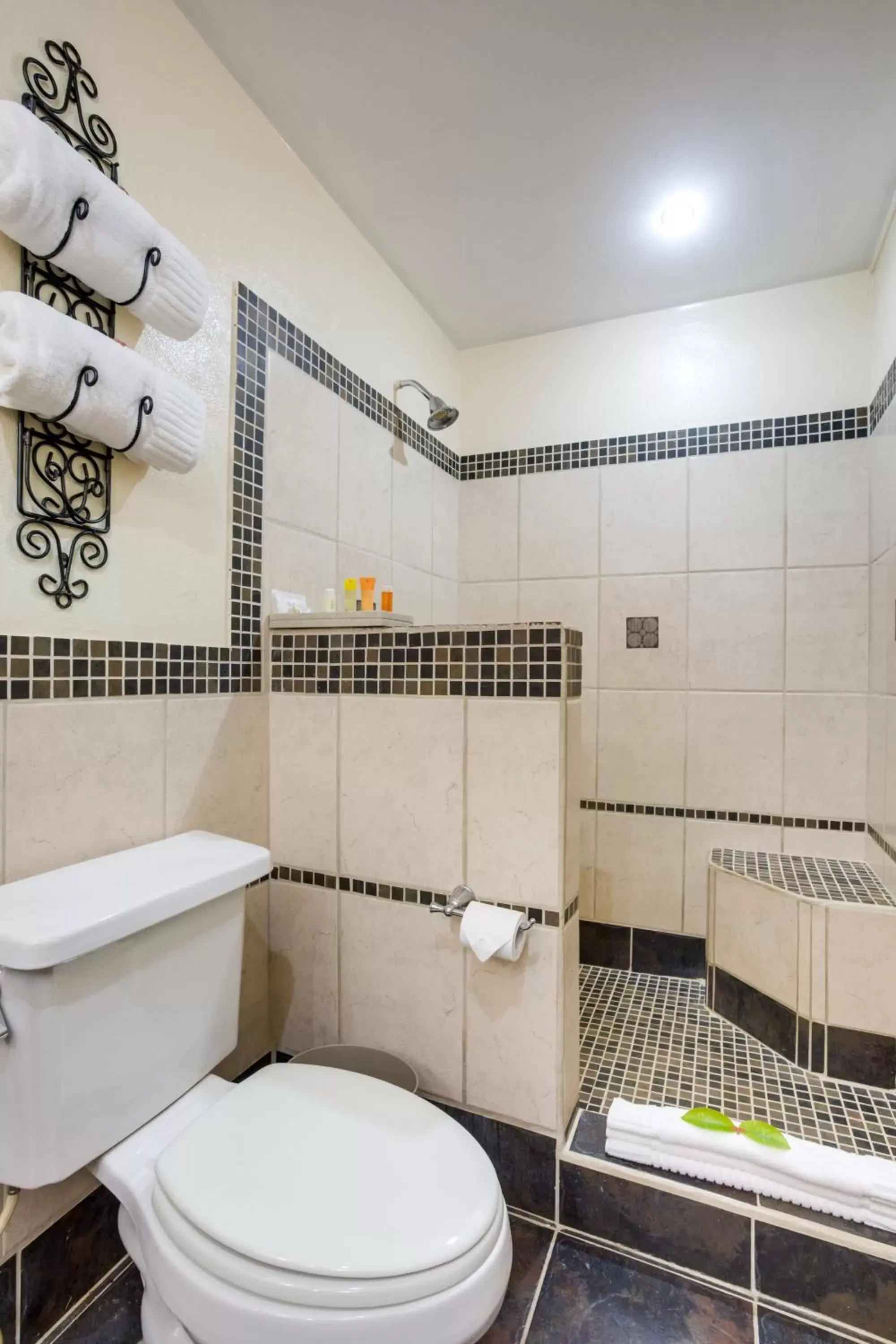 Bathroom in San Ignacio Resort Hotel