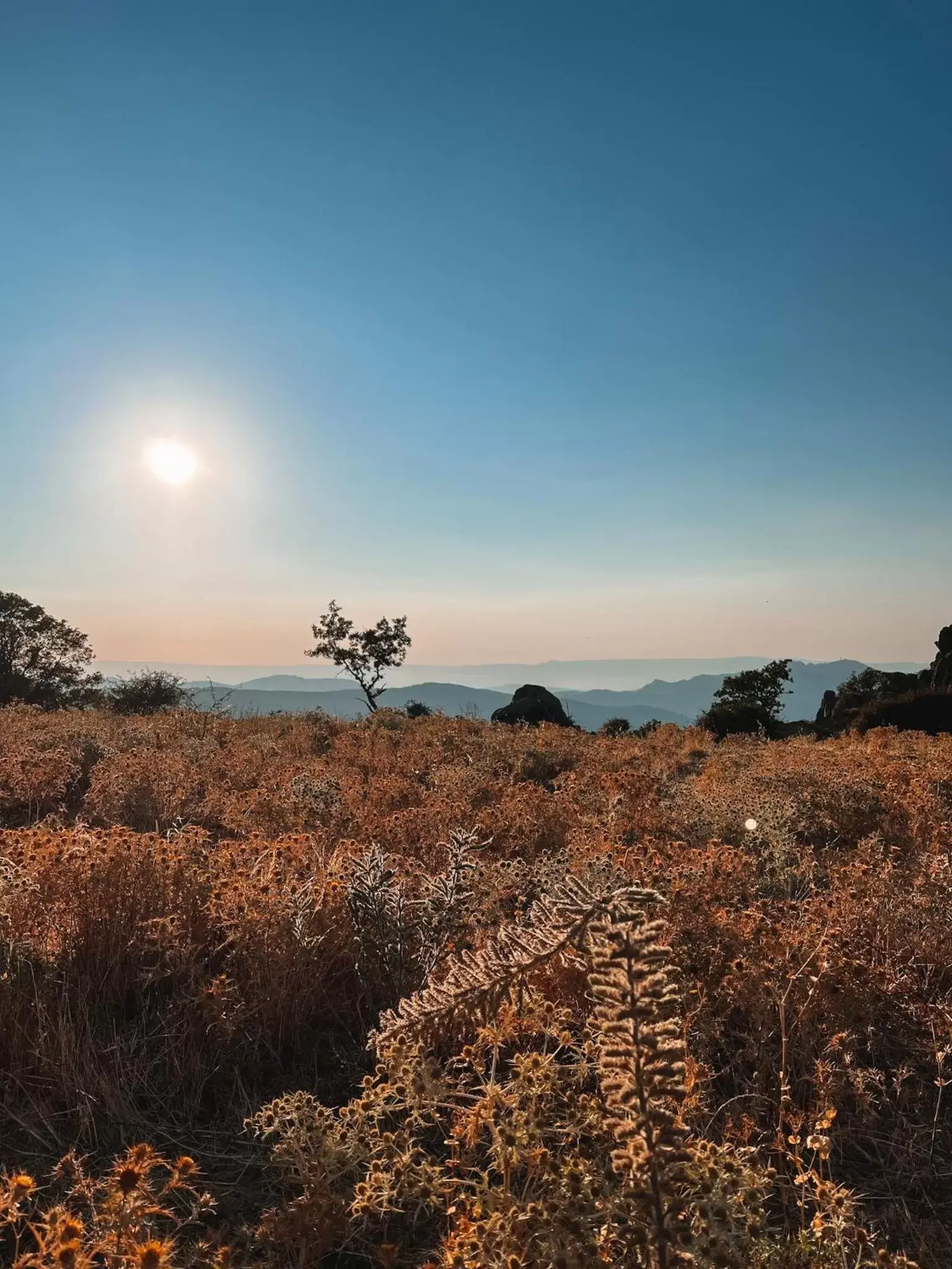 Natural landscape in Casa Masini