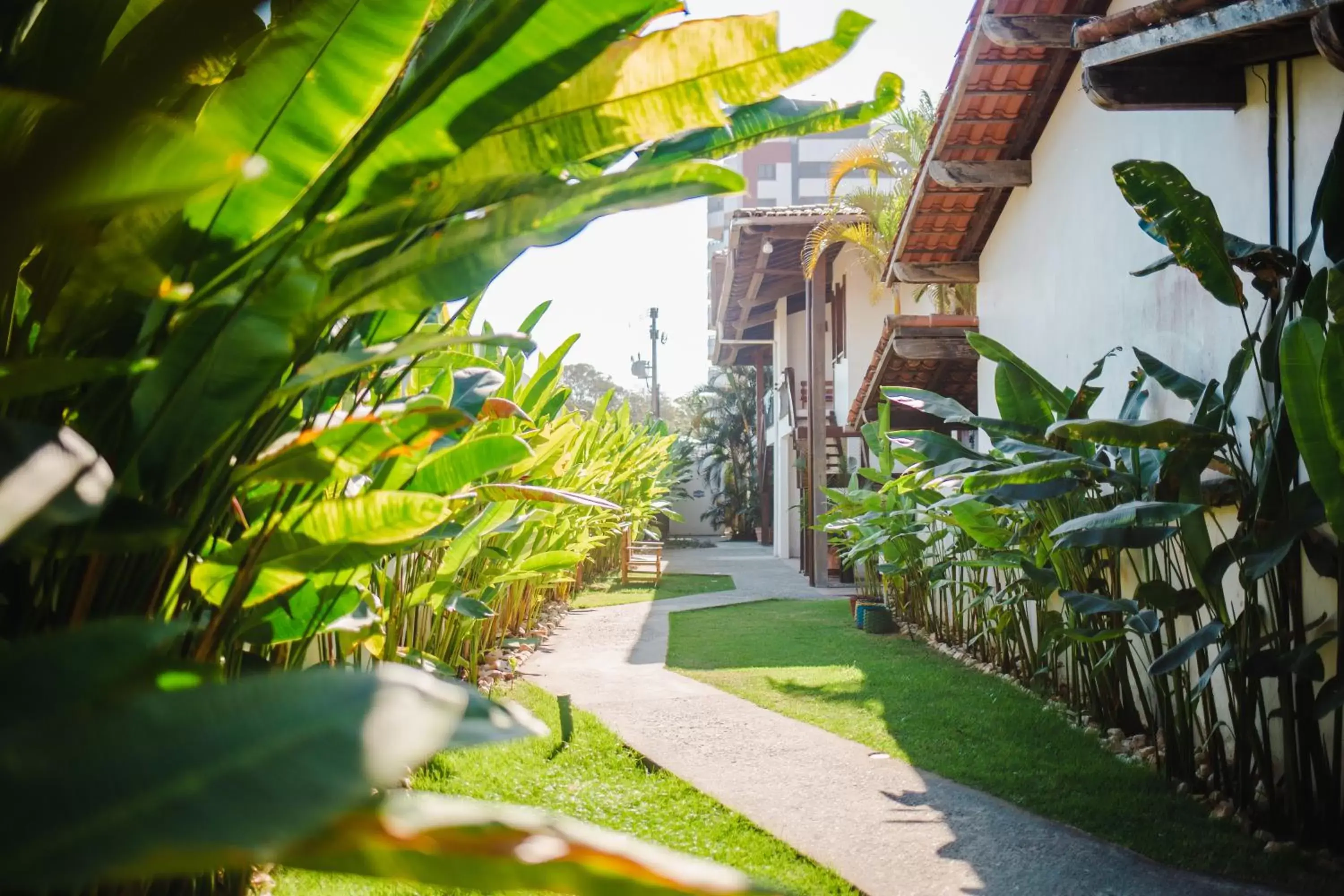 Garden in Jardim Atlântico Beach Resort