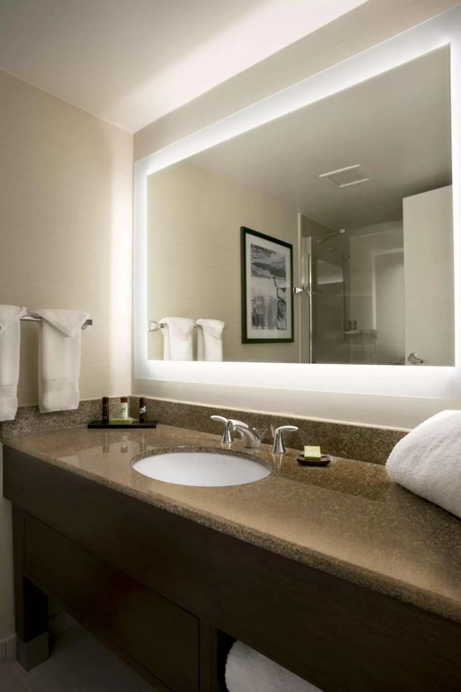 Bathroom in Embassy Suites Cleveland - Beachwood