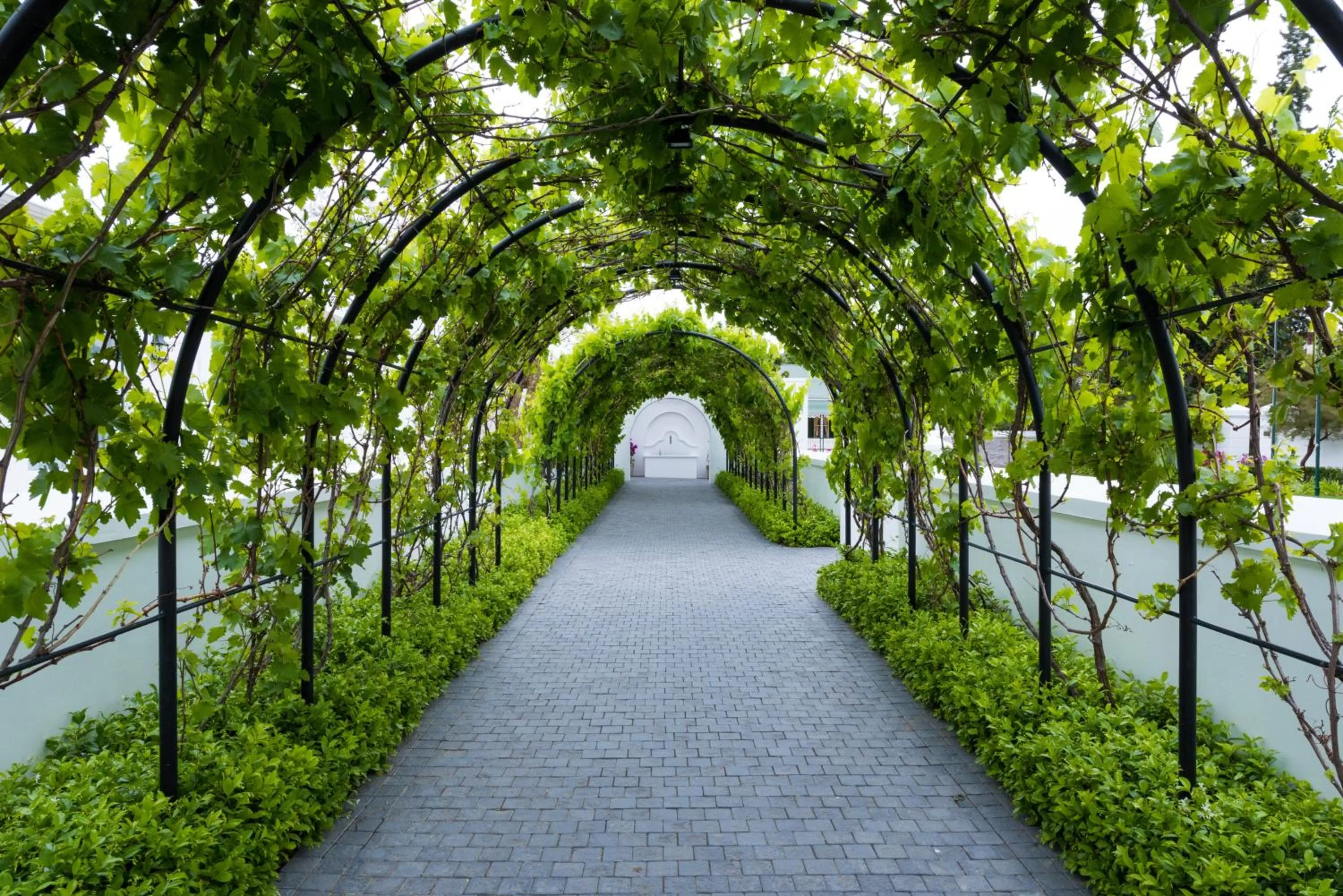 Garden view in Drostdy Hotel