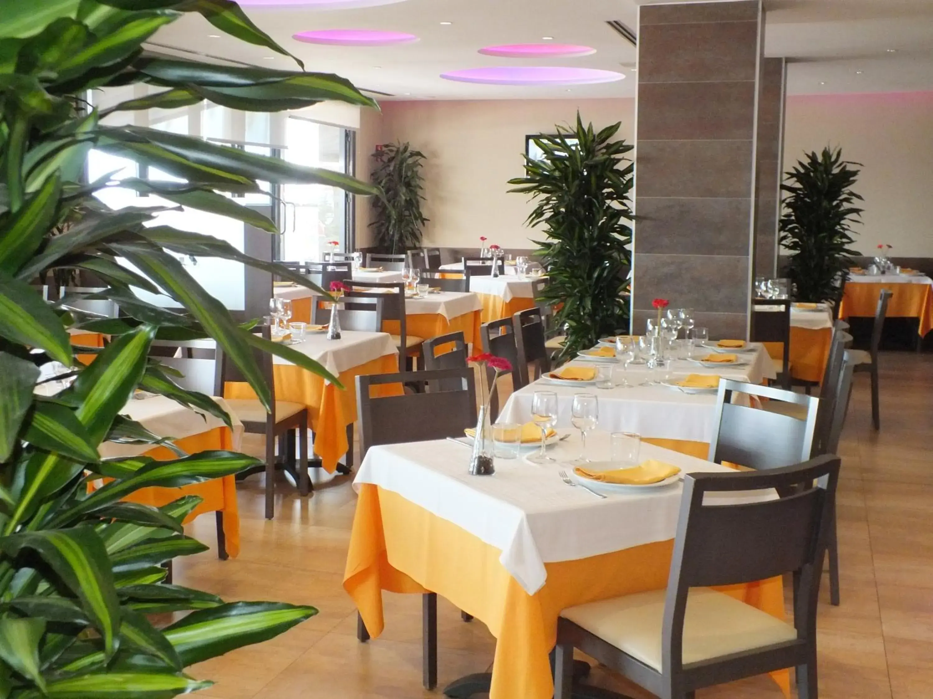 Restaurant/Places to Eat in Hotel Risech