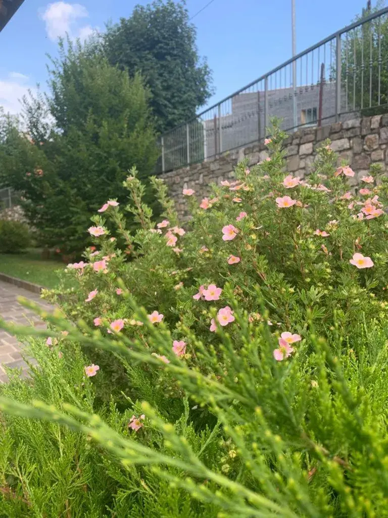 Garden in T'ami Hotel Resort Spa