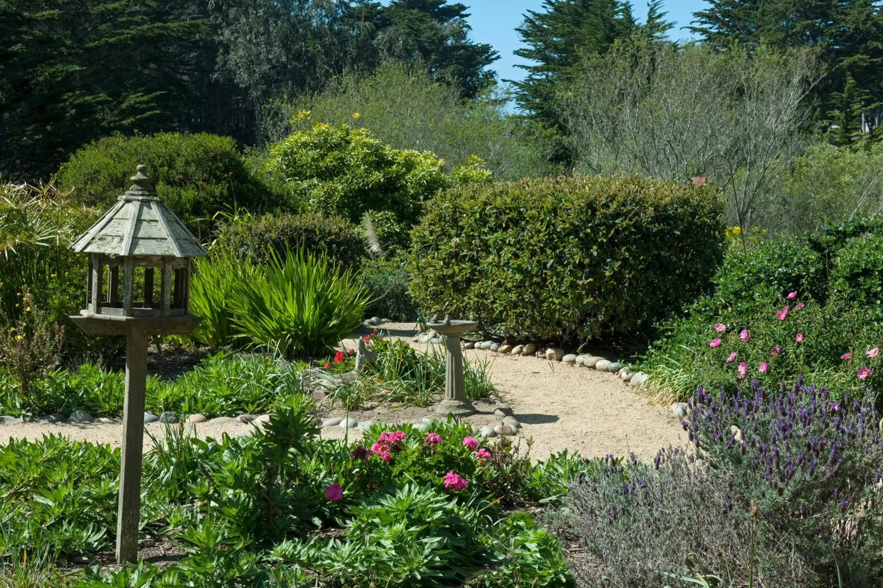 Garden view, Garden in Seal Cove Inn