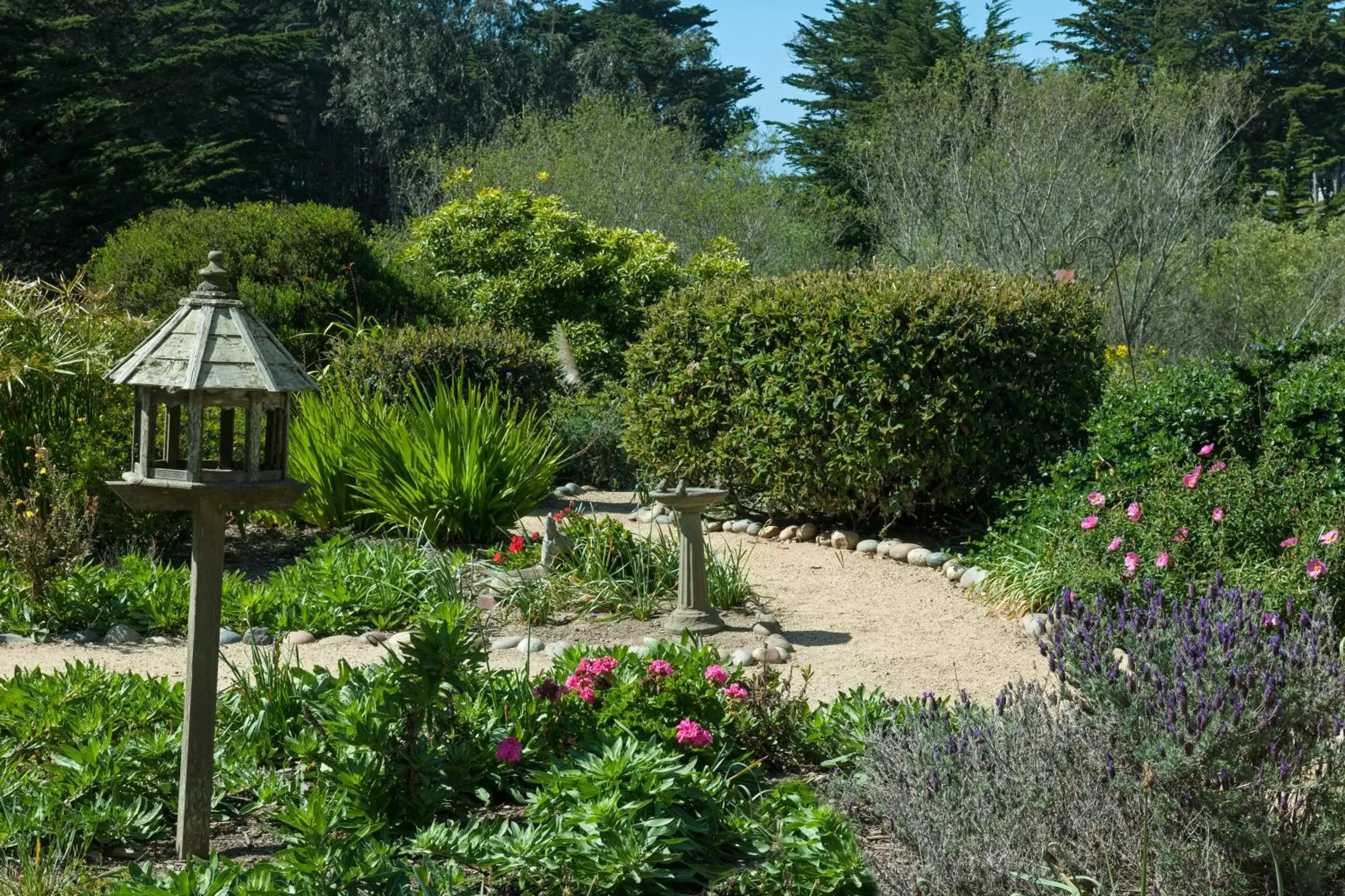 Garden view in Seal Cove Inn Garden view in Seal Cove Inn
