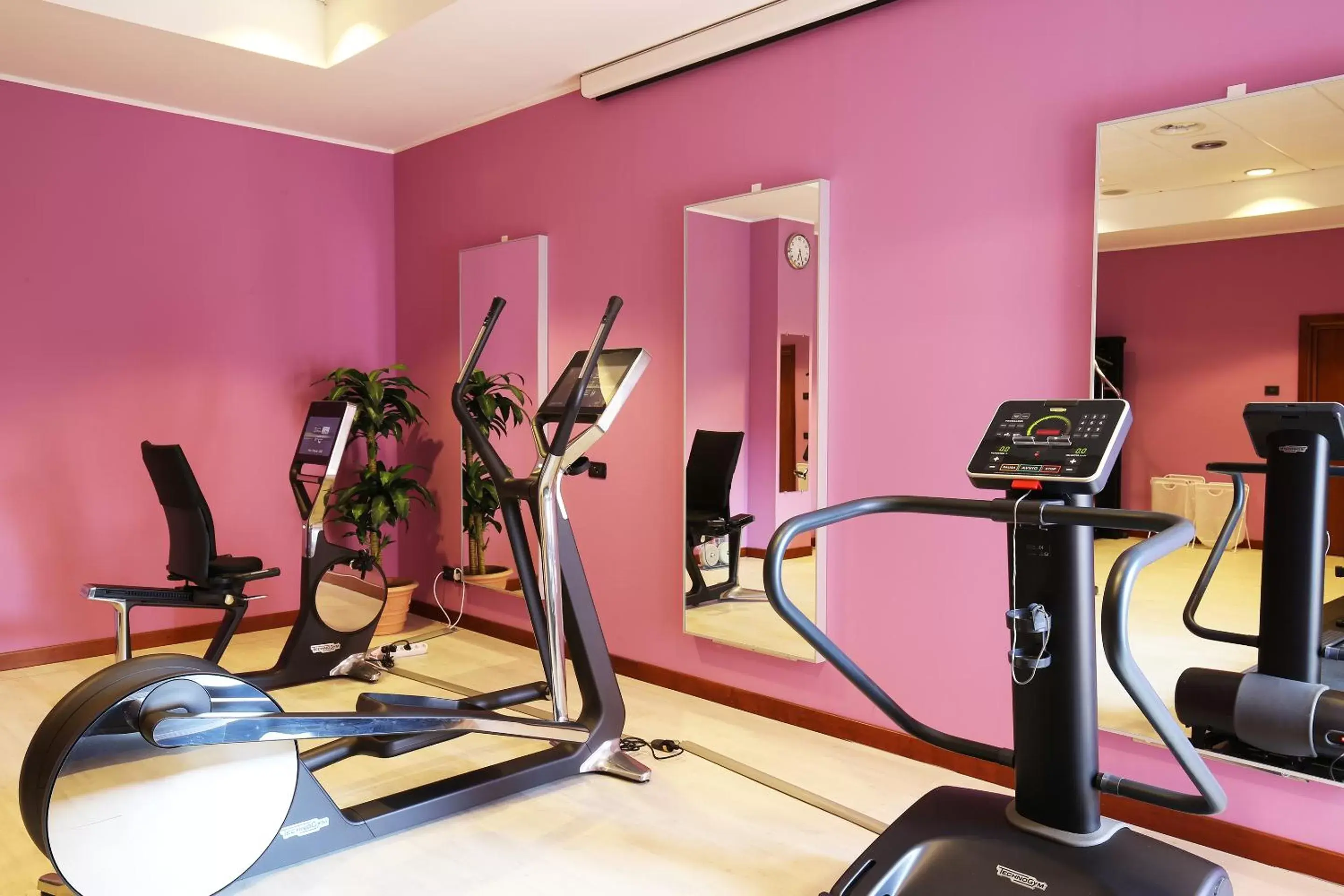 Fitness centre/facilities, Fitness Center/Facilities in Mercure Genova San Biagio