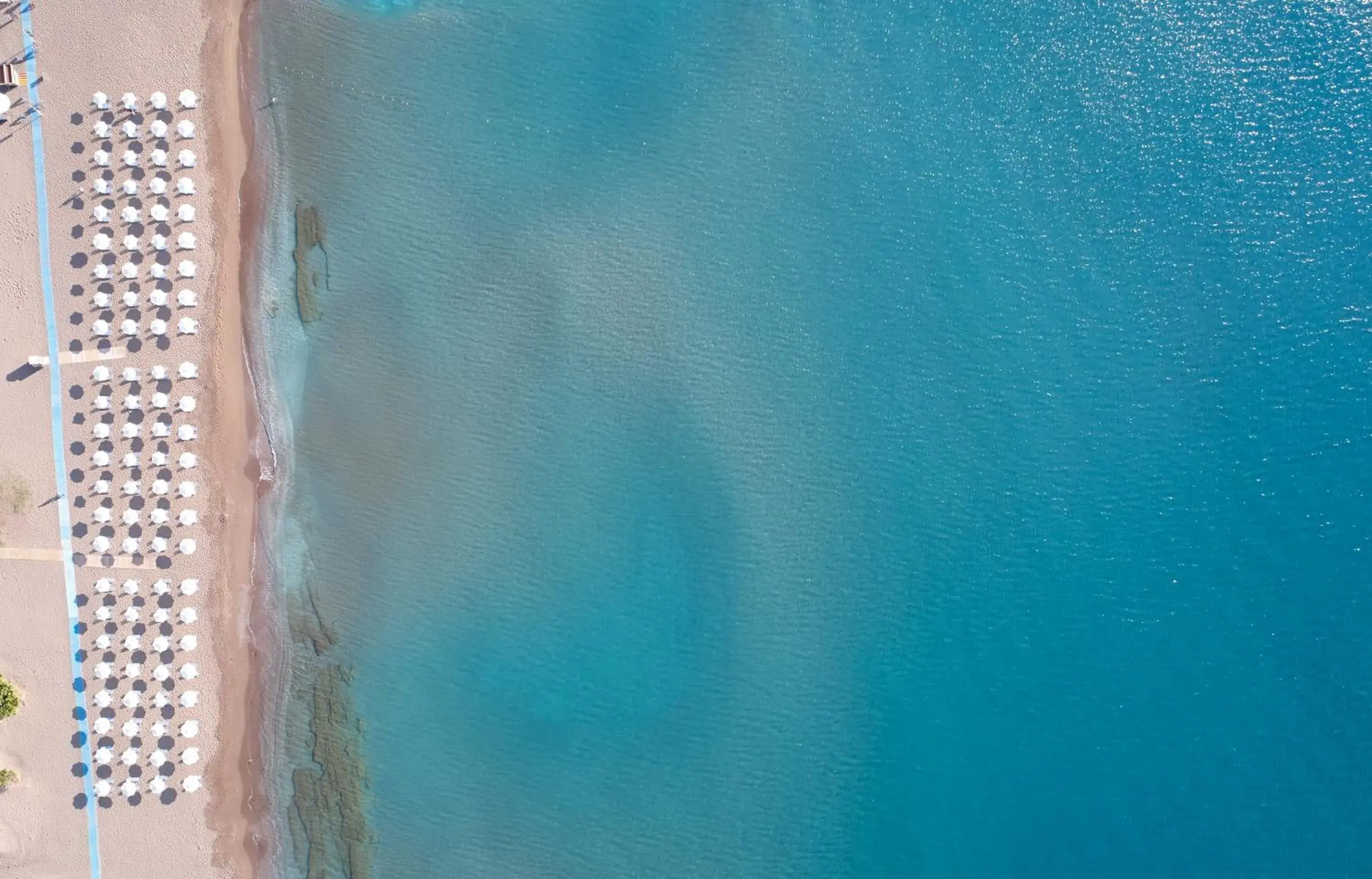 Apollo Blue Apollo Blue