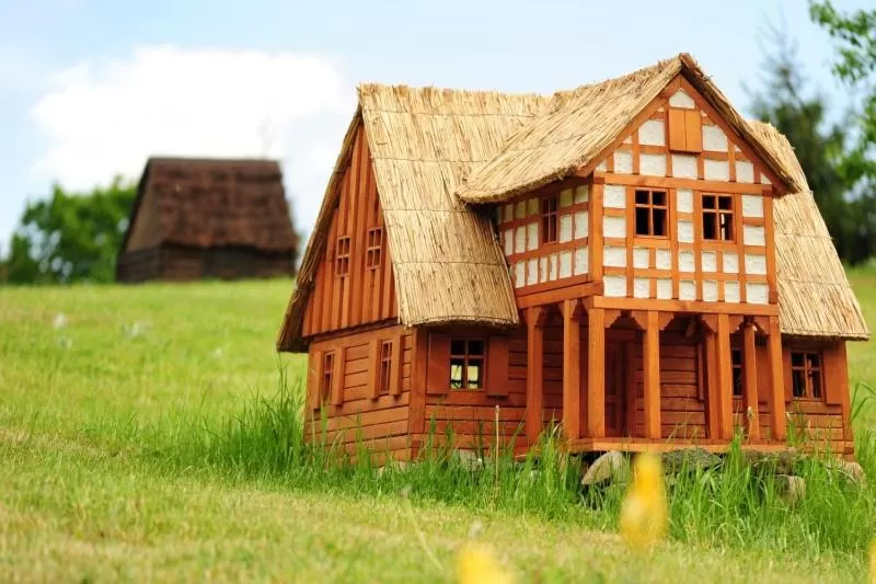 Windsurfing in Olandia