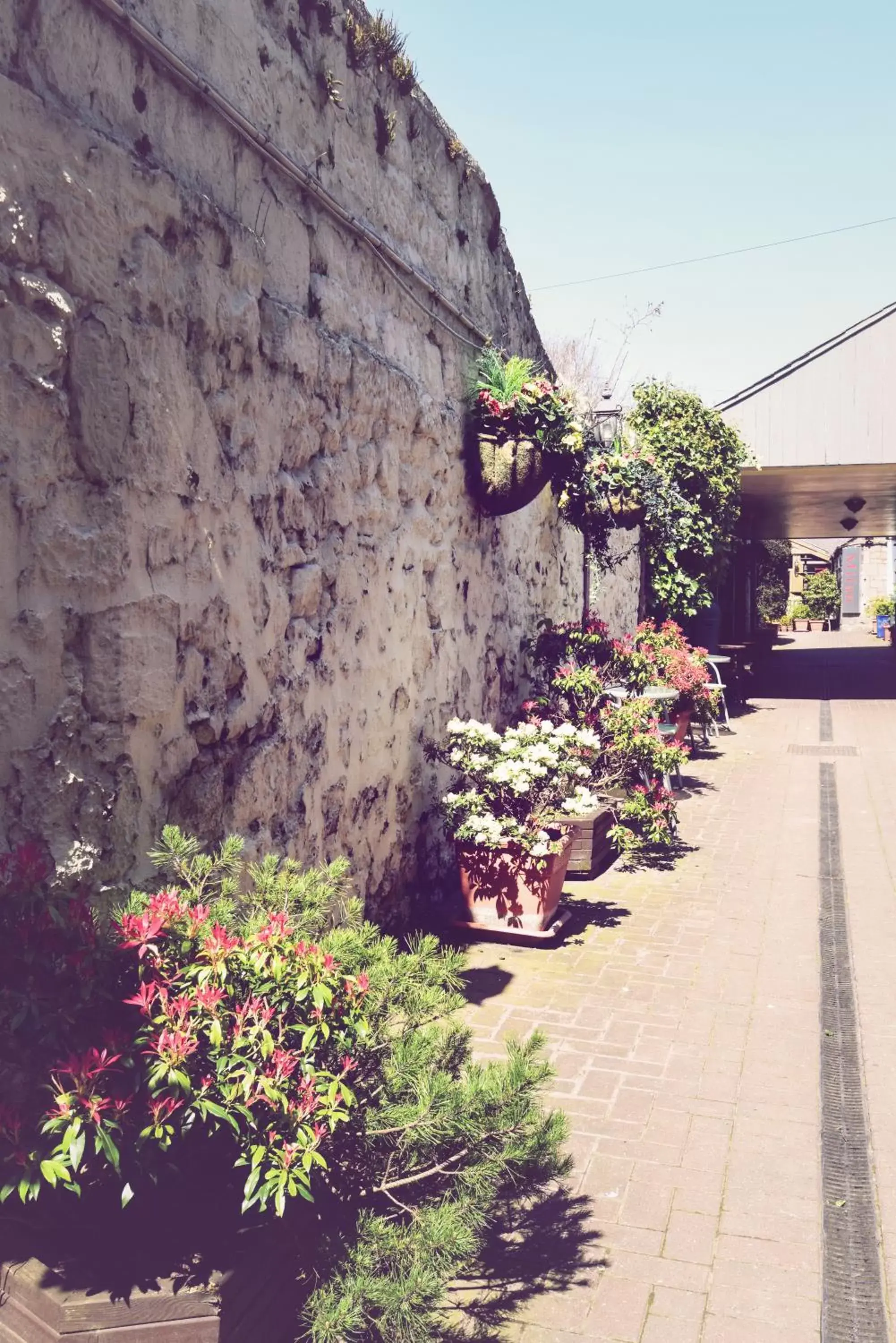 Patio, Garden in The Black Bull inn