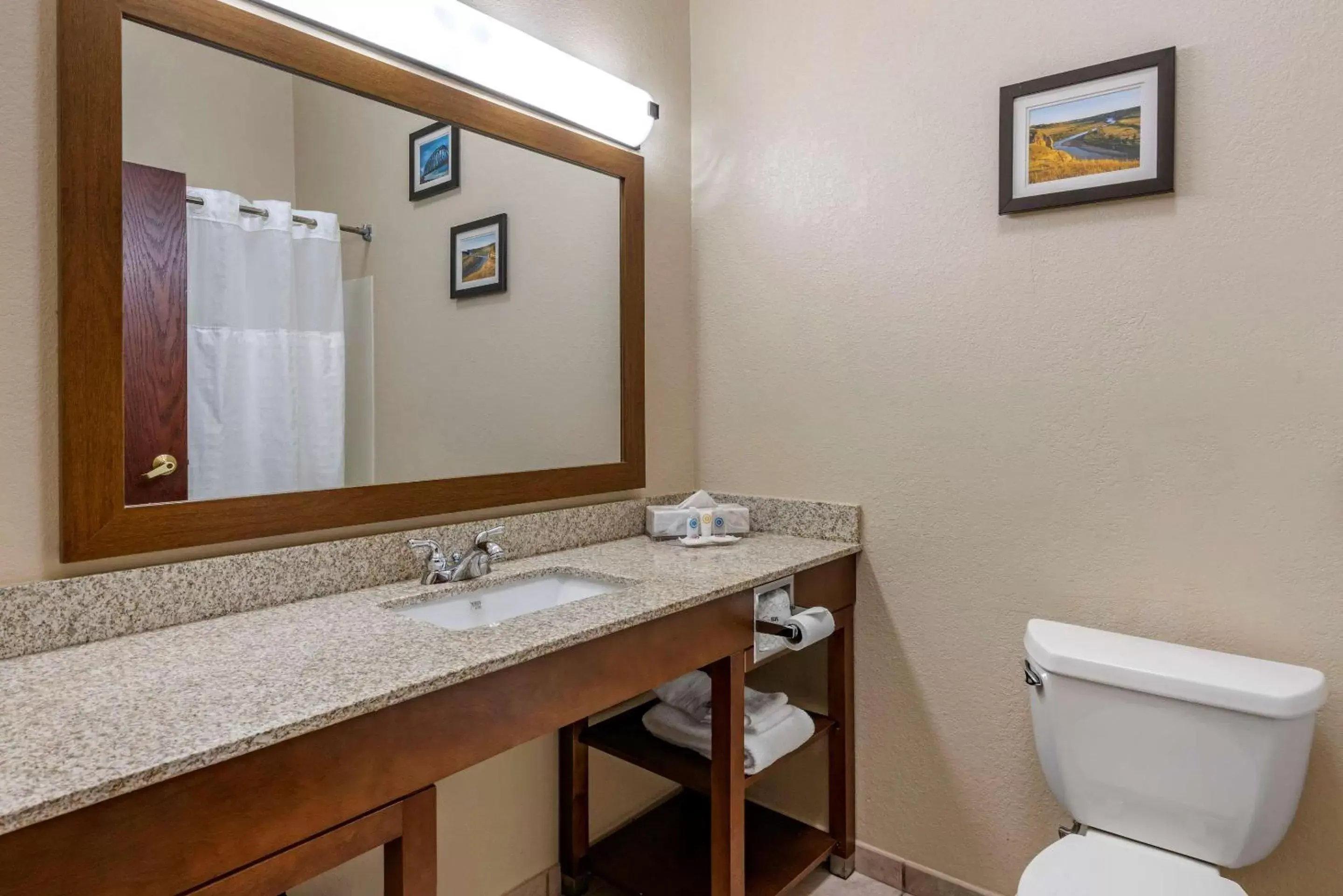 Photo of the whole room, Bathroom in Comfort Inn & Suites St Louis-O'Fallon