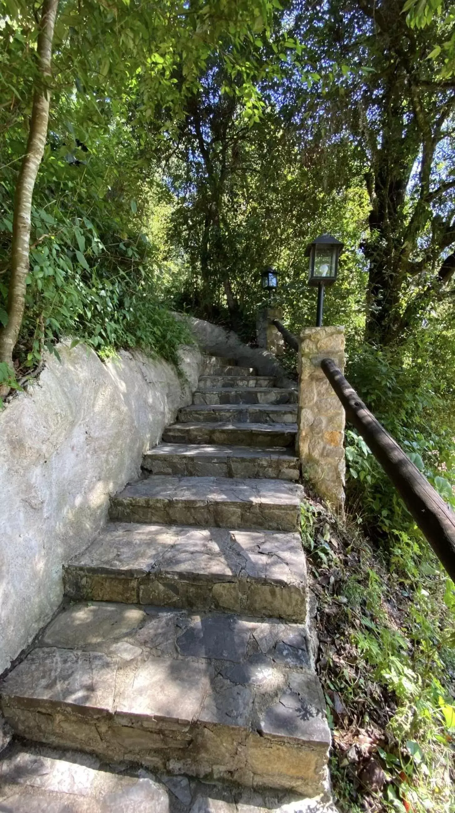 Garden in Cabañas La Cascada