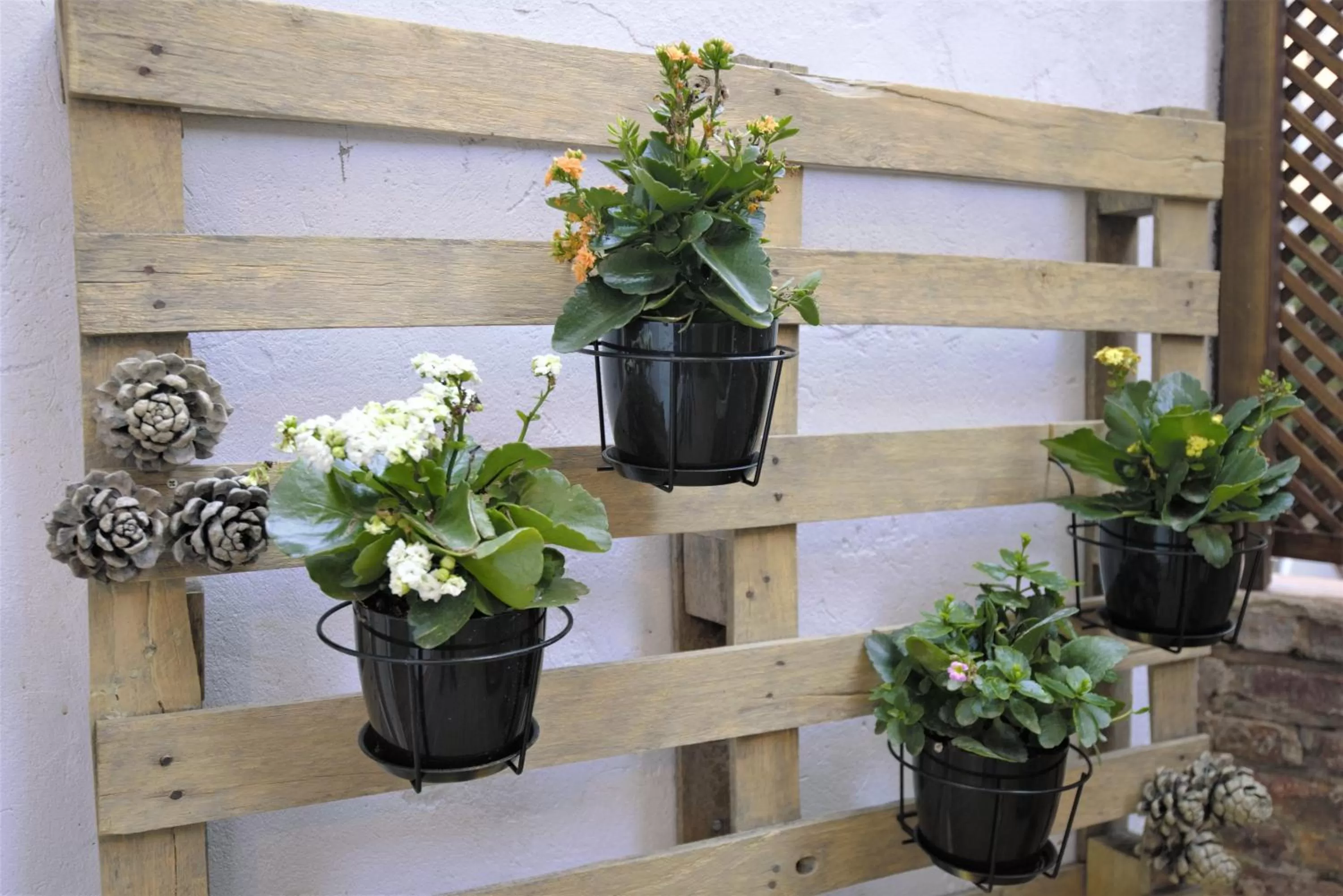 Balcony/Terrace in DreamKeys Barcelona City