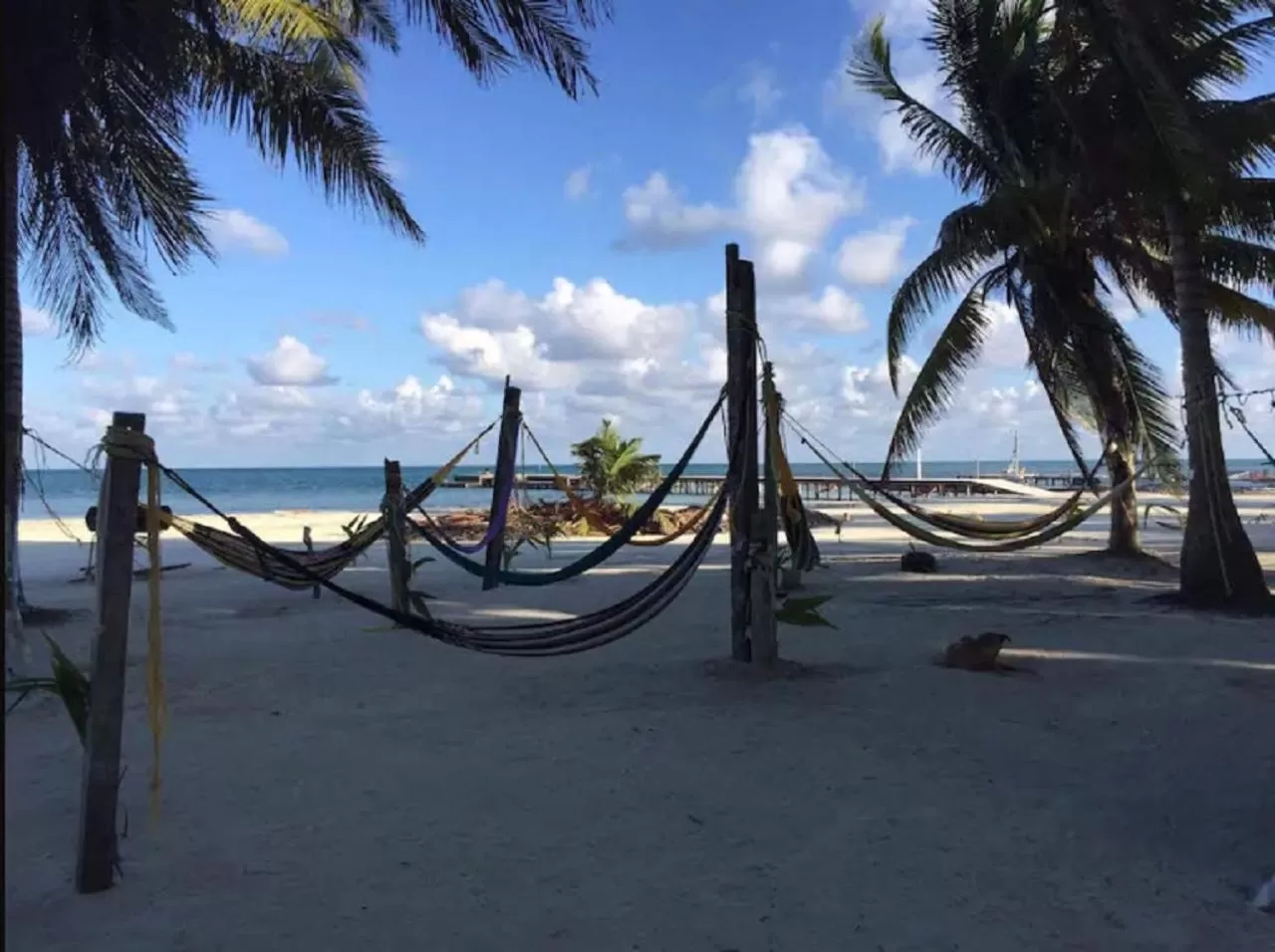 Beach in Caye Caulker Beach Hotel