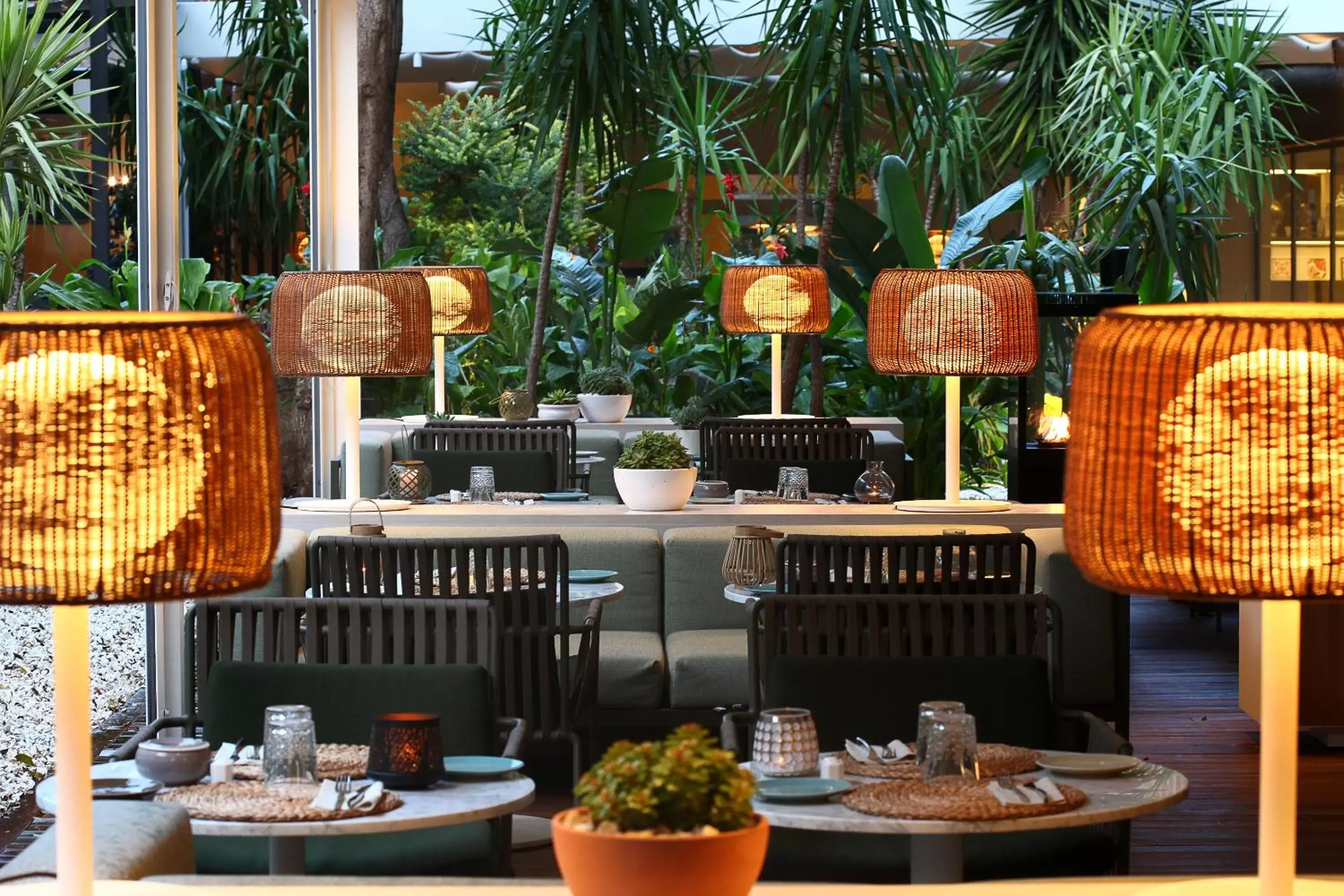 Family Room in Melia Lebreros Family Room in Melia Lebreros