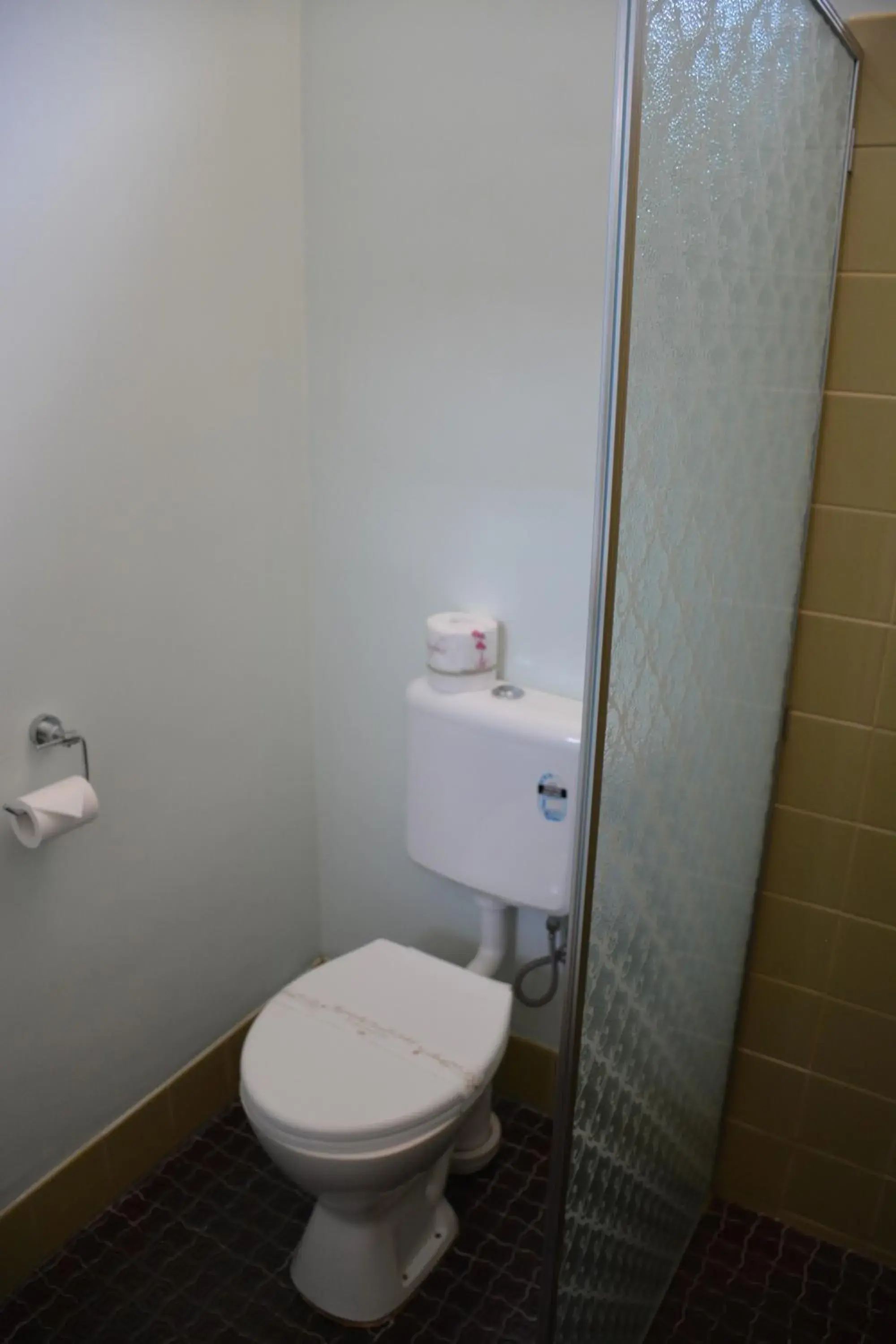 Toilet, Bathroom in Angaston Vineyards Motel