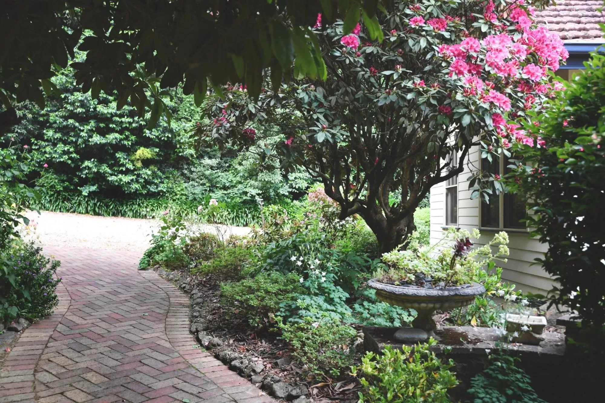 Garden in Cambridge Cottages