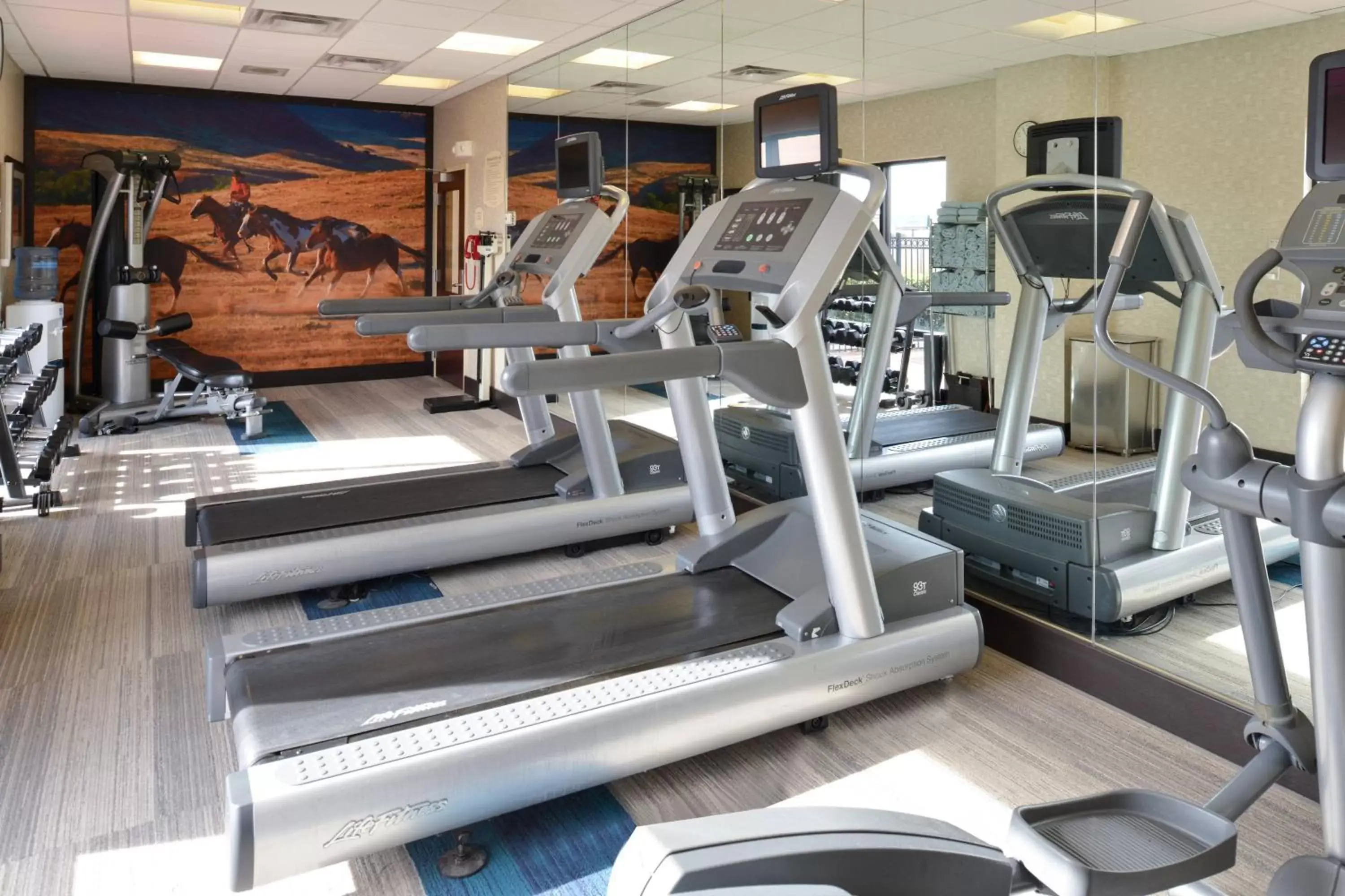 Fitness centre/facilities, Fitness Center/Facilities in SpringHill Suites by Marriott Oklahoma City Airport