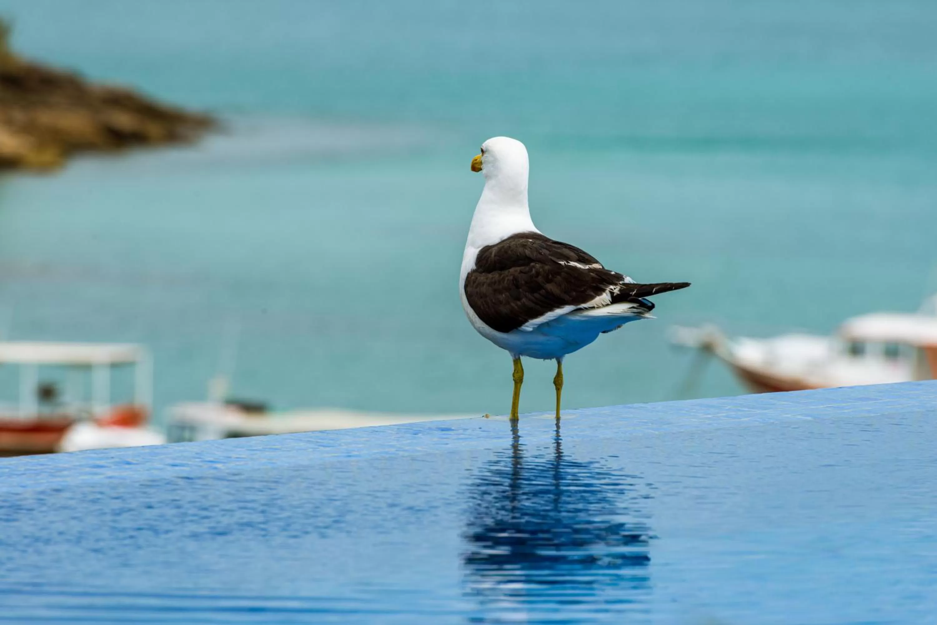 Day in Abracadabra Boutique Hotel