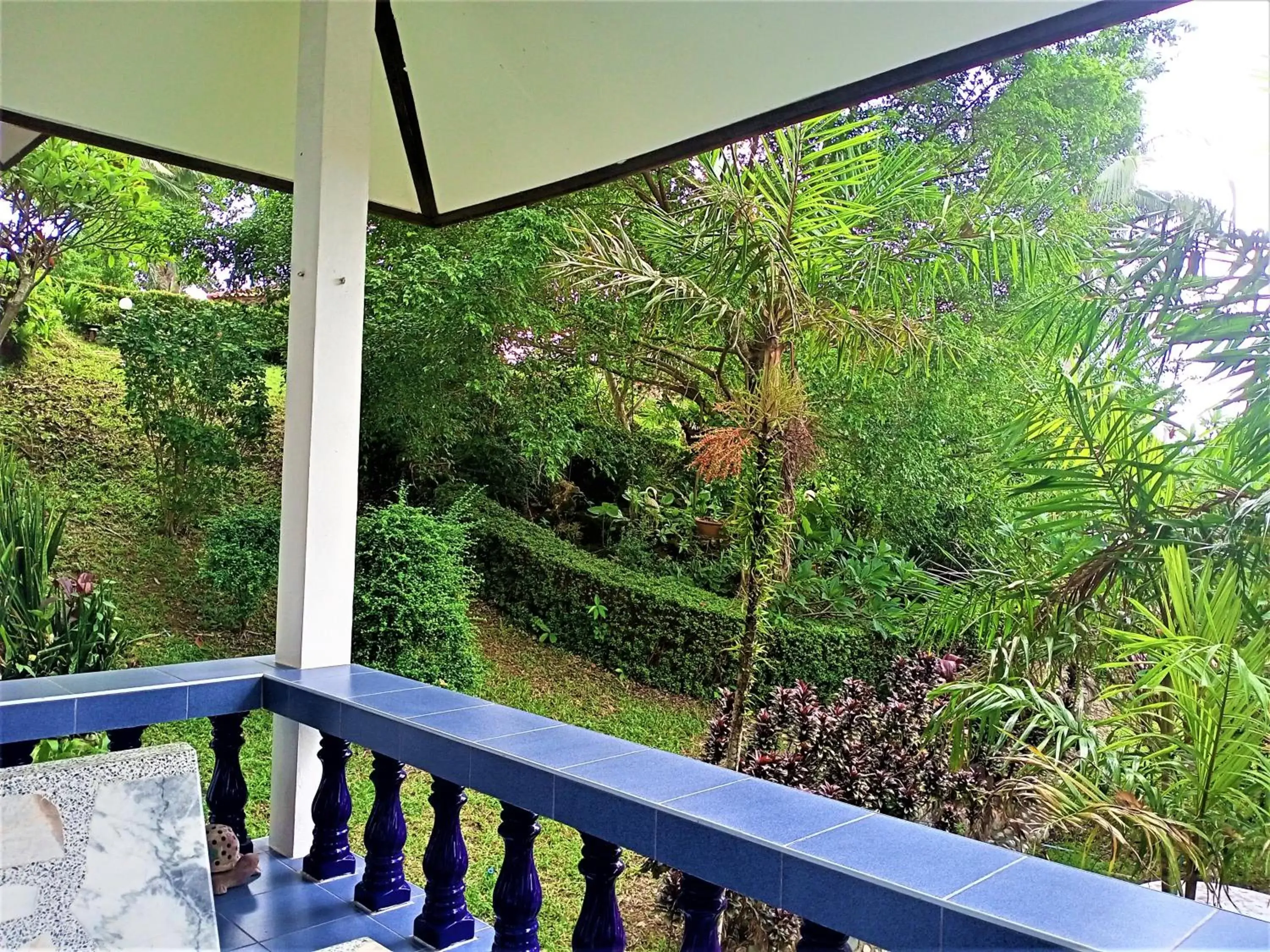 Garden view in Top Resort Garden view in Top Resort